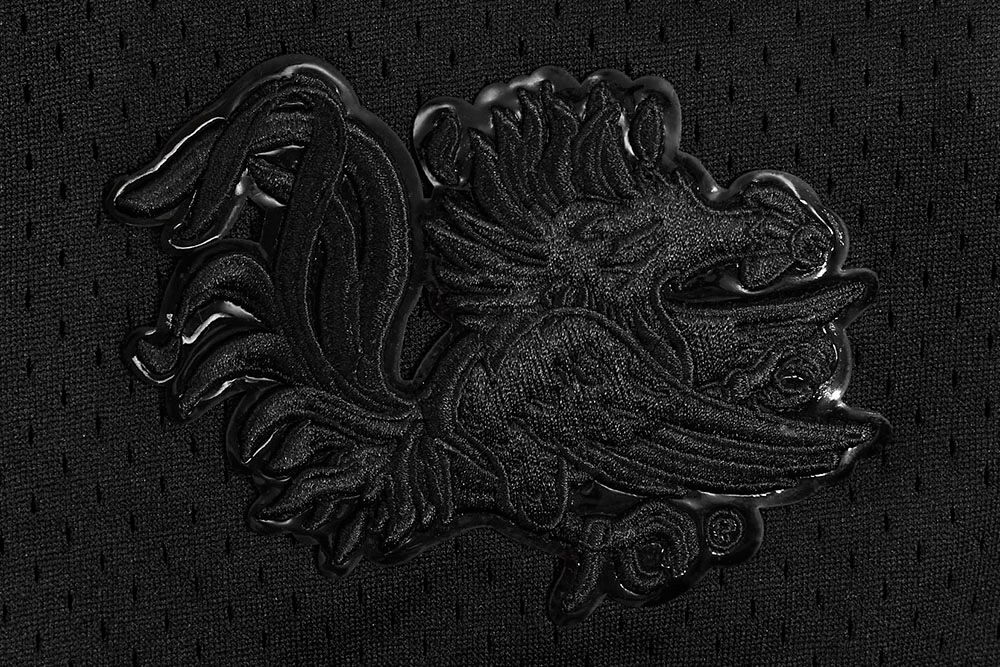 Pro Standard Men's South Carolina Gamecocks Black Replica Full-Button Baseball Jersey product image