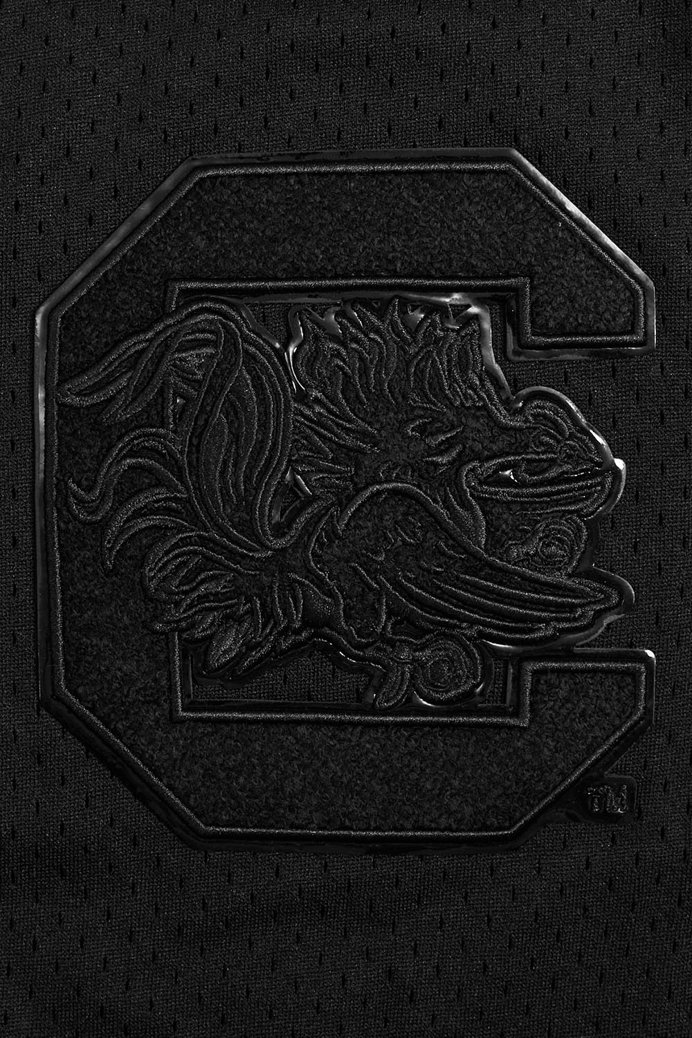 Pro Standard Men's South Carolina Gamecocks Black Replica Full-Button Baseball Jersey product image