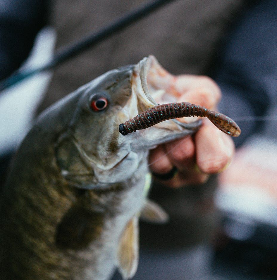 Rapala Crush City Salted Nedroll Softbait product image