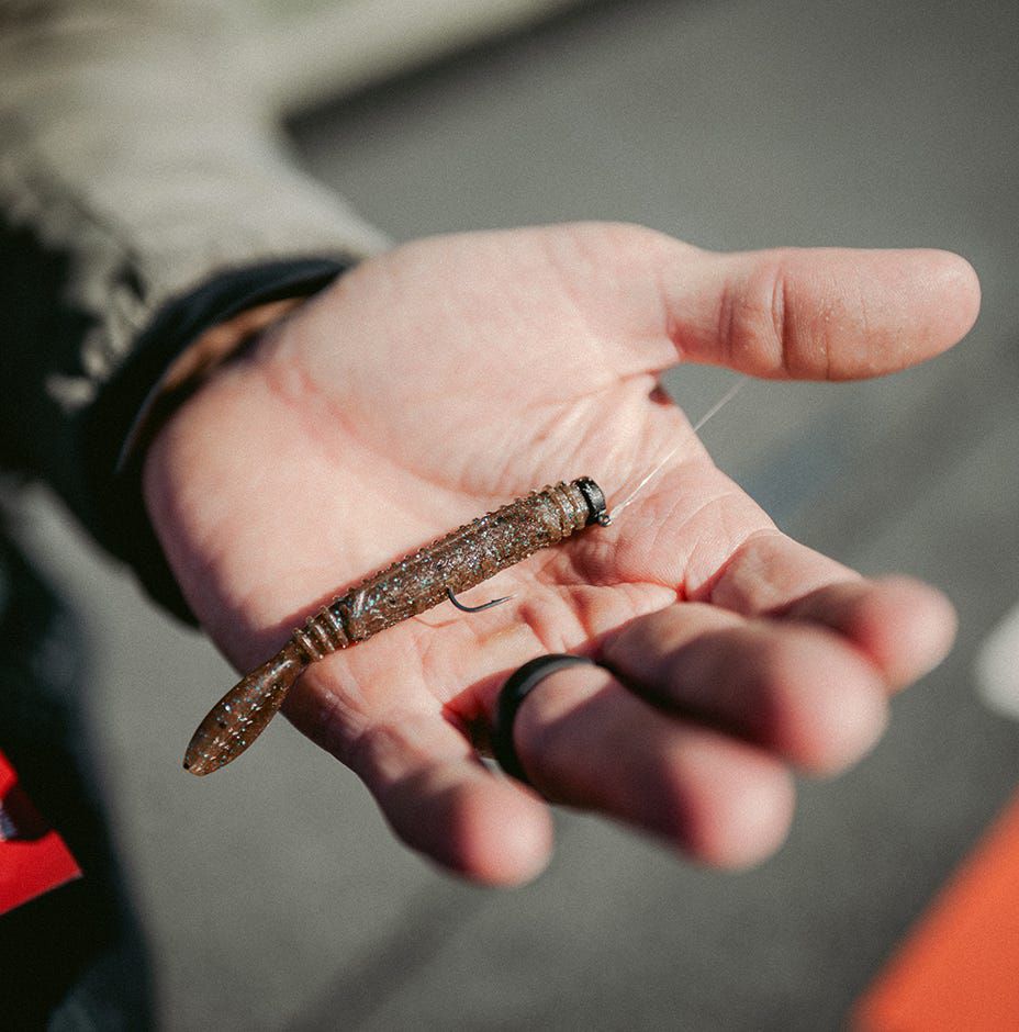 Rapala Crush City Salted Nedroll Softbait product image