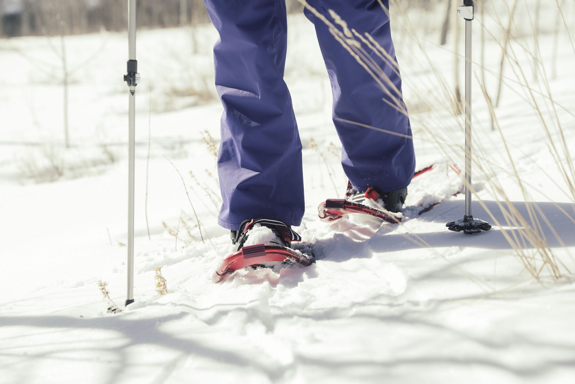 Yukon Charlie's Women's Advanced Float Snowshoe Kit product image