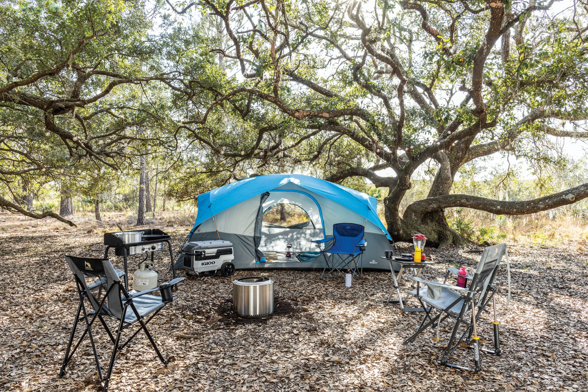 Quest Switchback 8-Person Cross Vent Dome Tent product image