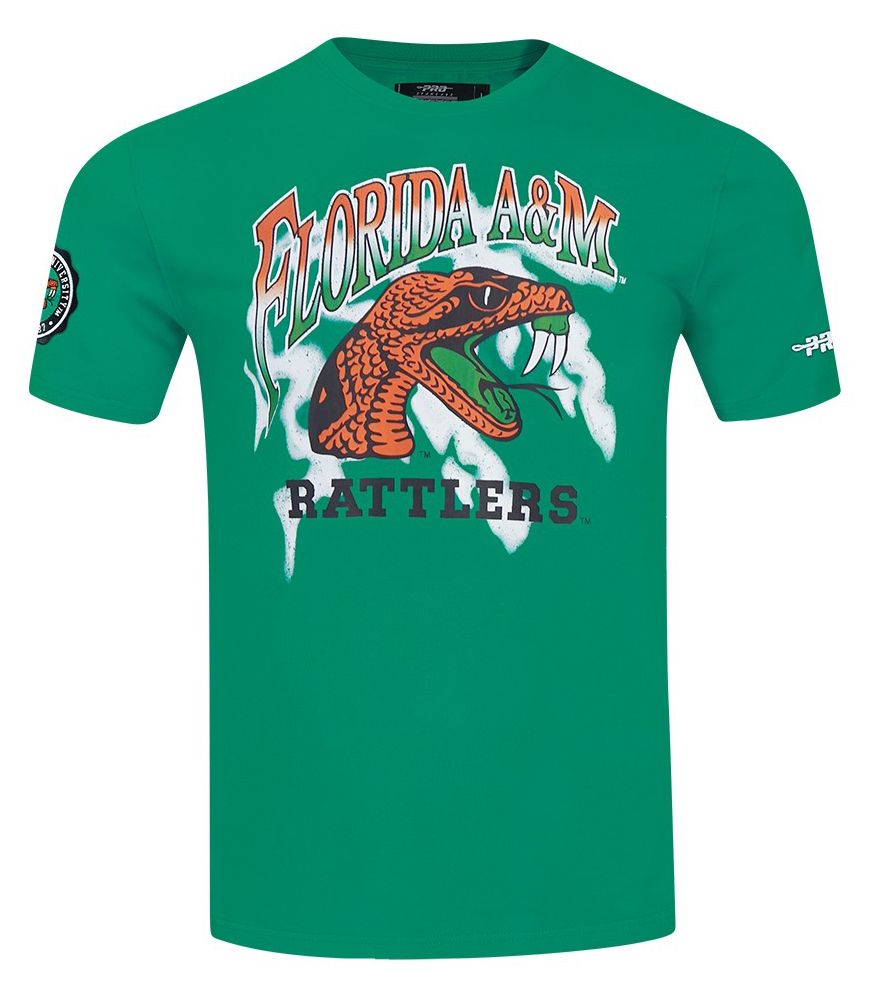 Pro Standard Men's Florida A&M Rattlers Green University Headliner T-Shirt product image