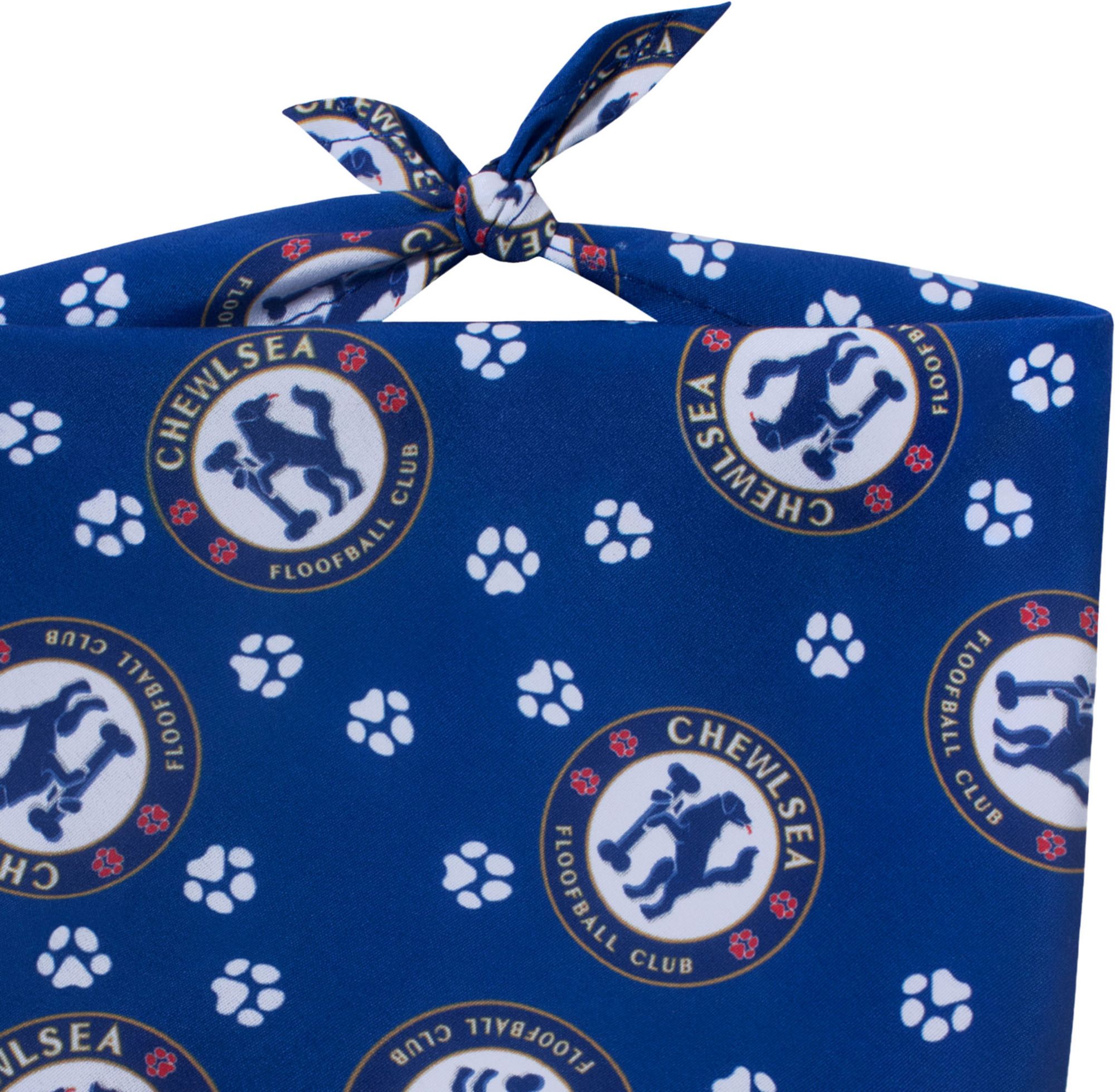 Floofball Chewlsea Soccer Kit S Ball S Band Bundle product image
