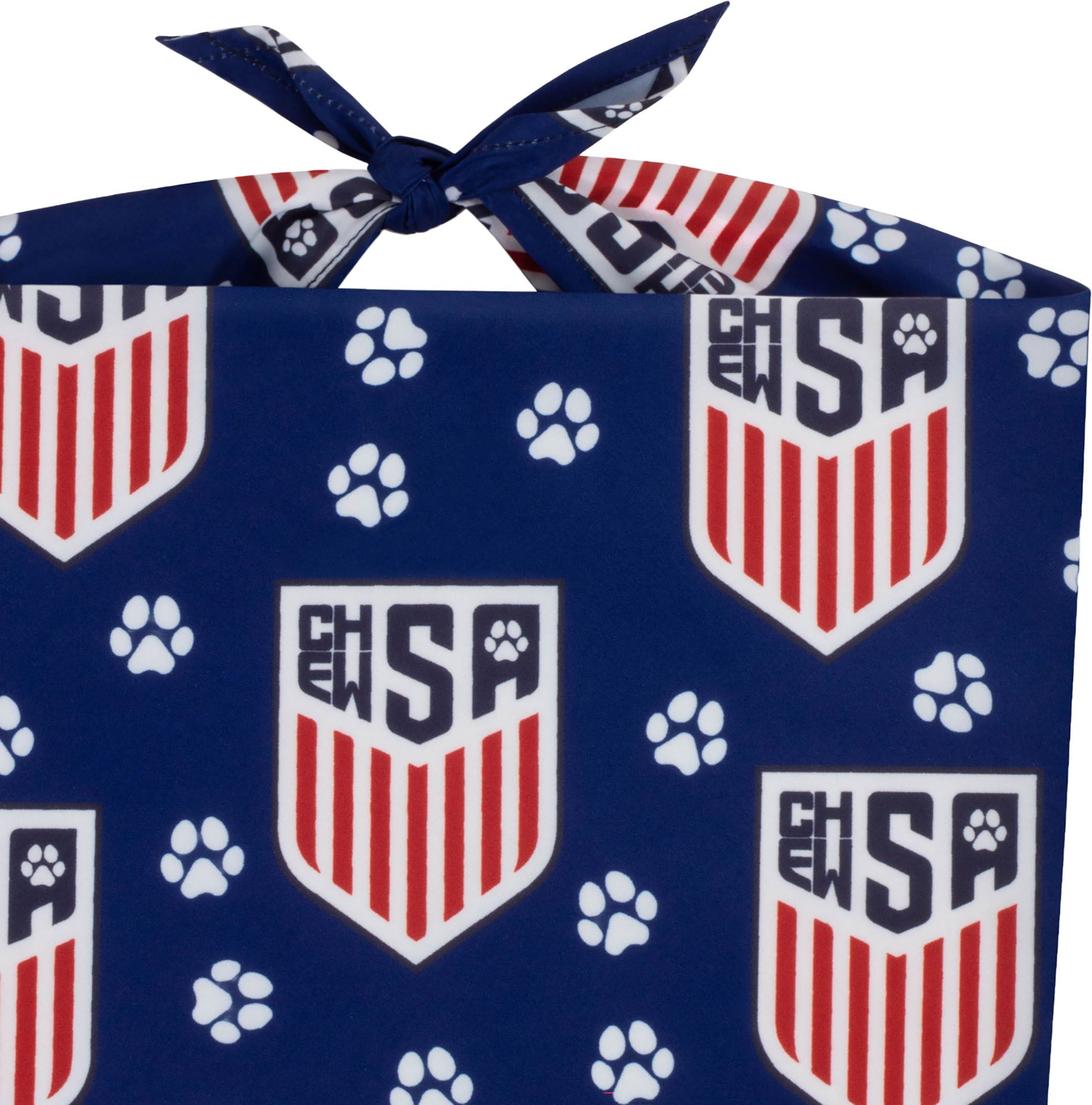 Floofball ChewSA Soccer Kit Small Ball and Large Bandana Bundle product image