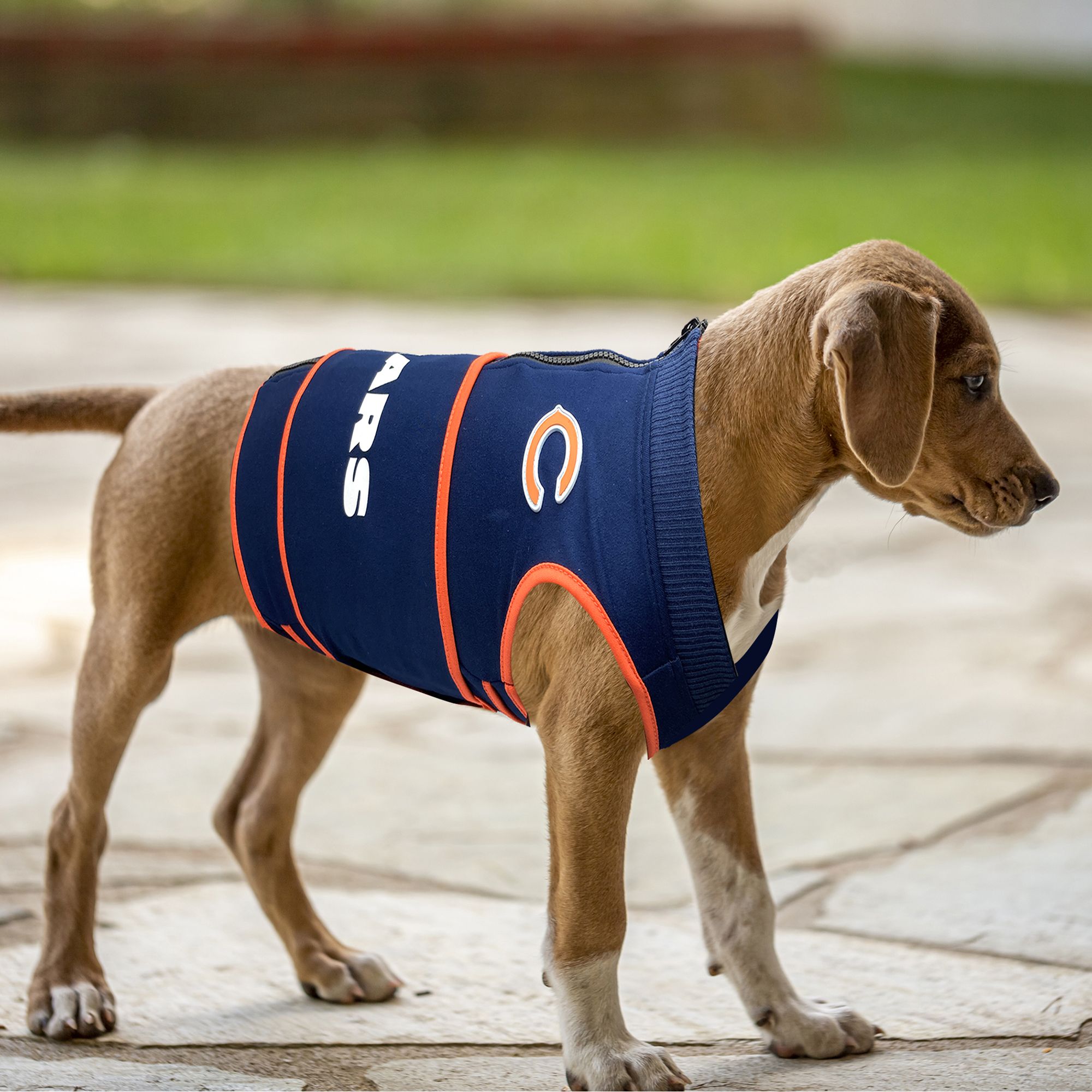 Pets First Chicago Bears Soothing Vest product image