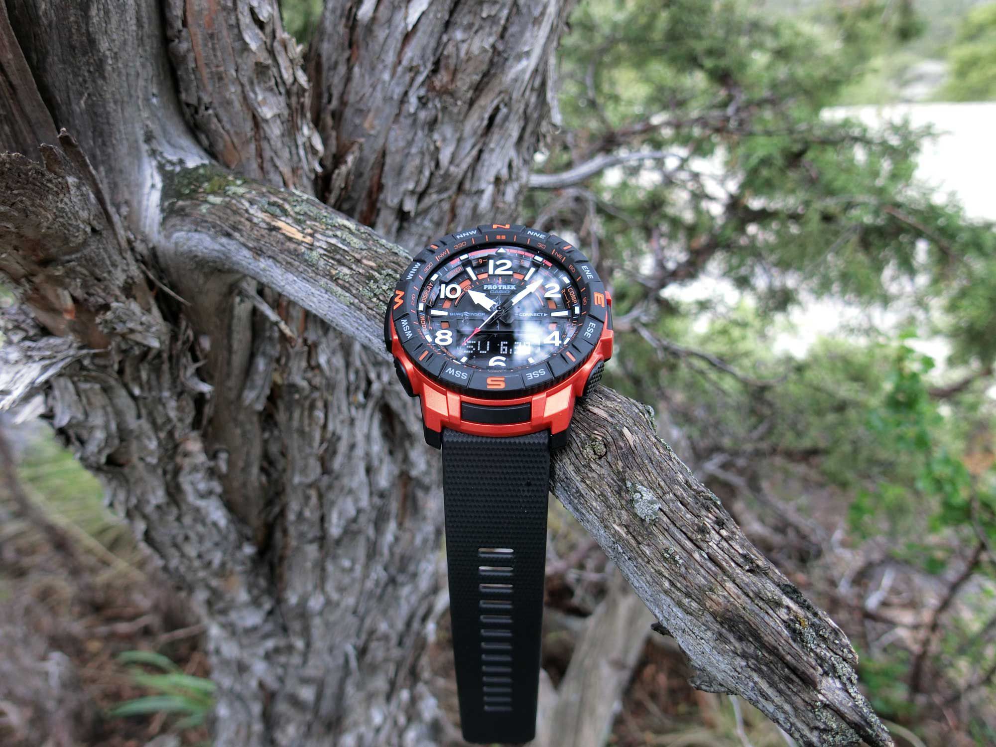 casio protrek step counter