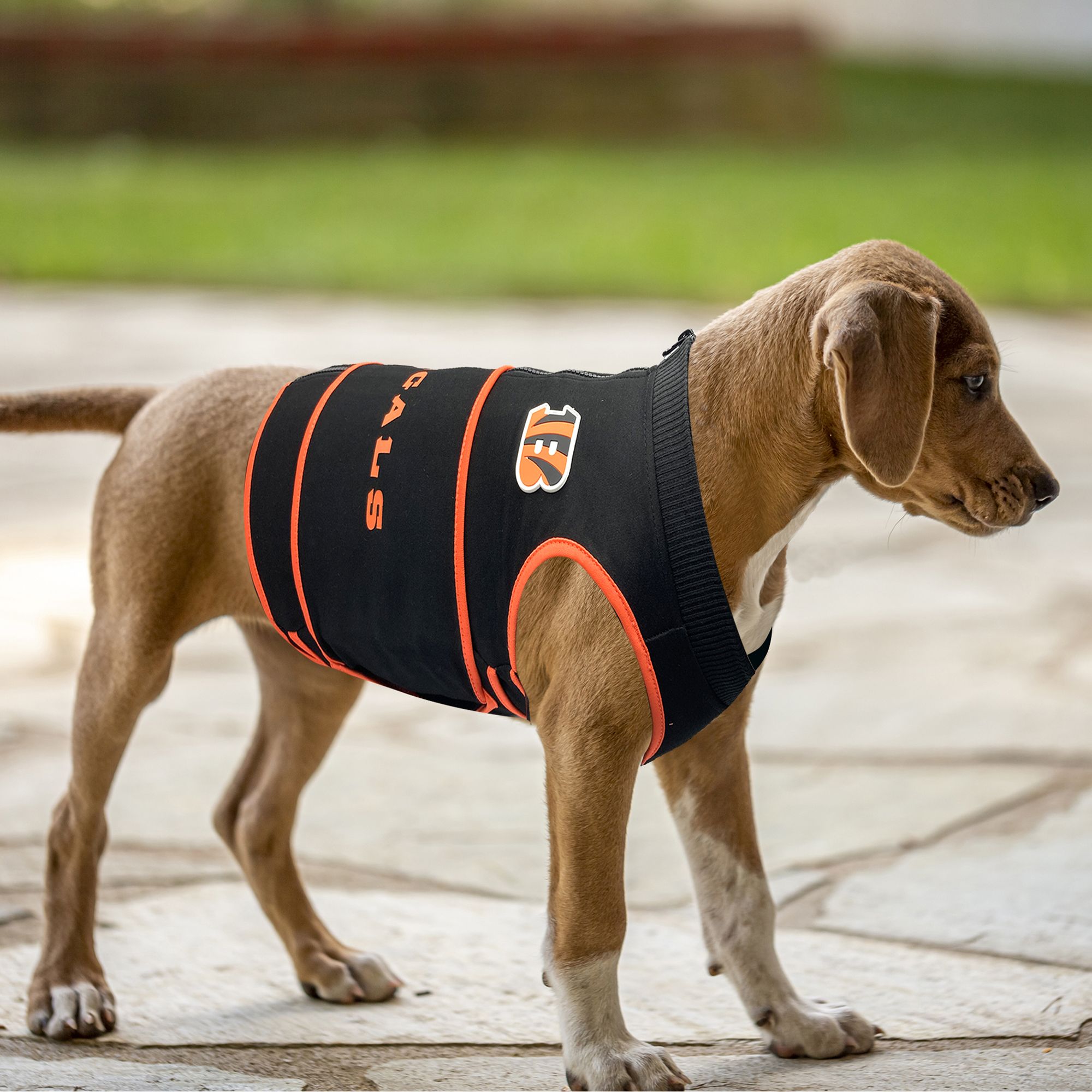 Pets First Cincinnati Bengals Soothing Vest product image