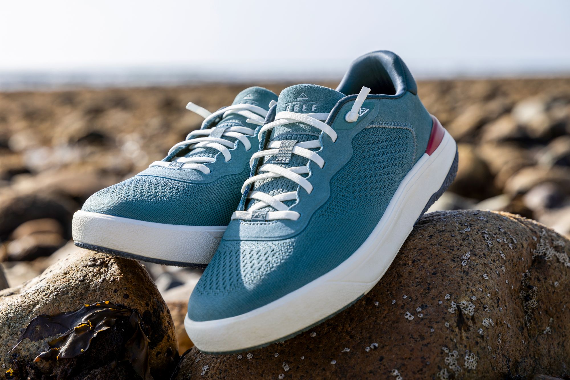 Reef Men's Shoreline Del Mar Shoes product image