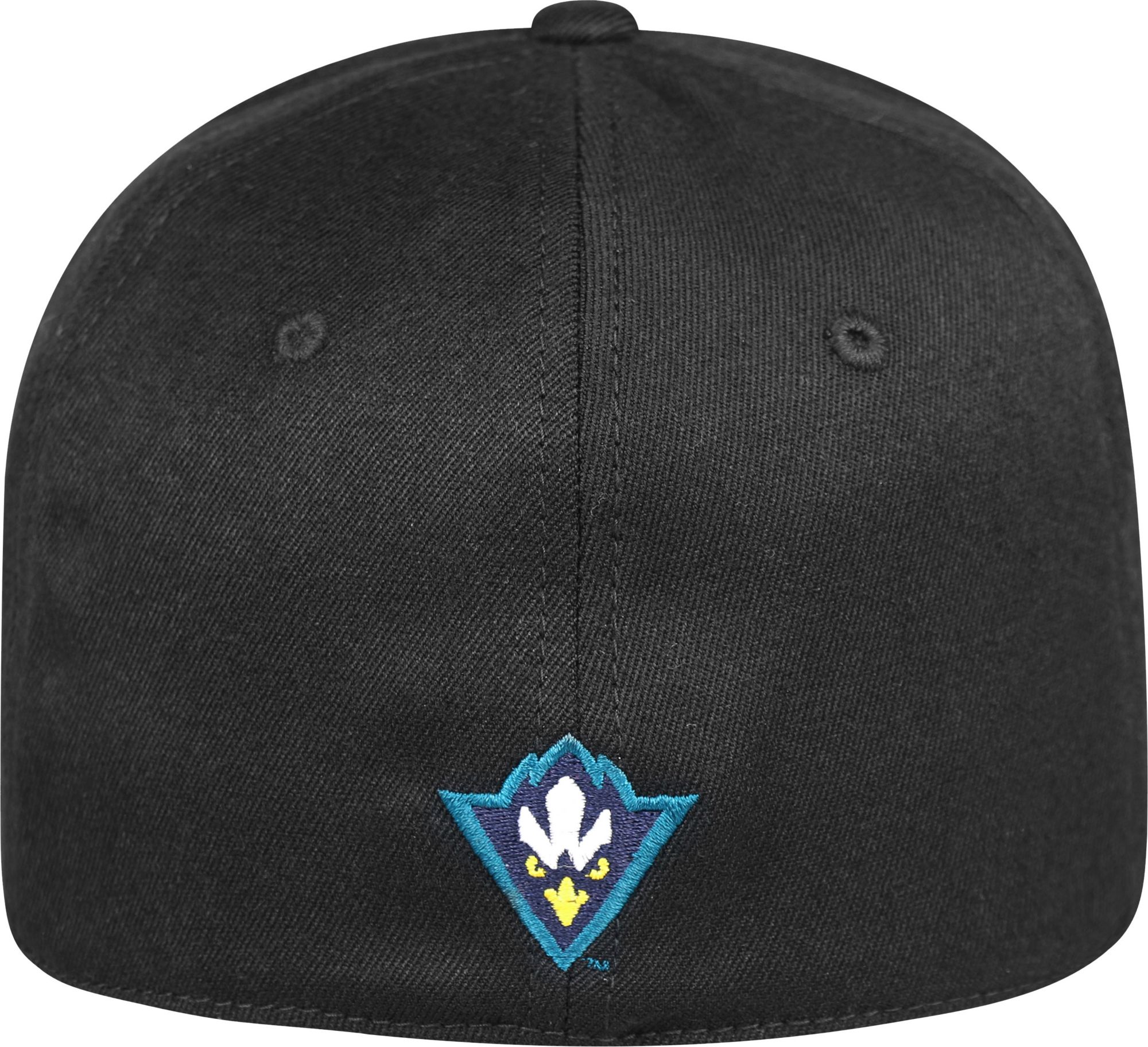uncw baseball hat