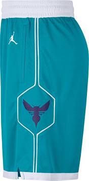 Jordan Men's Charlotte Hornets Teal Dri-FIT Swingman Shorts product image