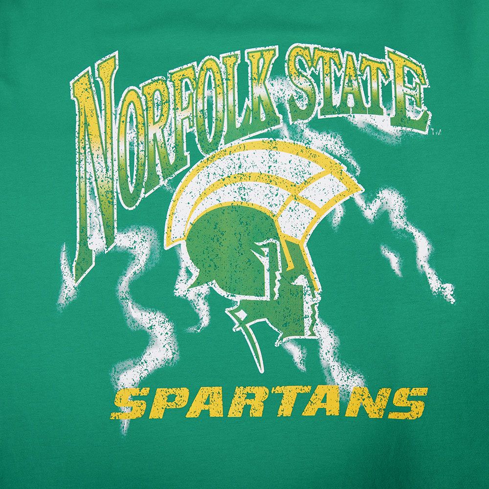 Pro Standard Men's Norfolk State Spartans Green University Headliner T-Shirt product image