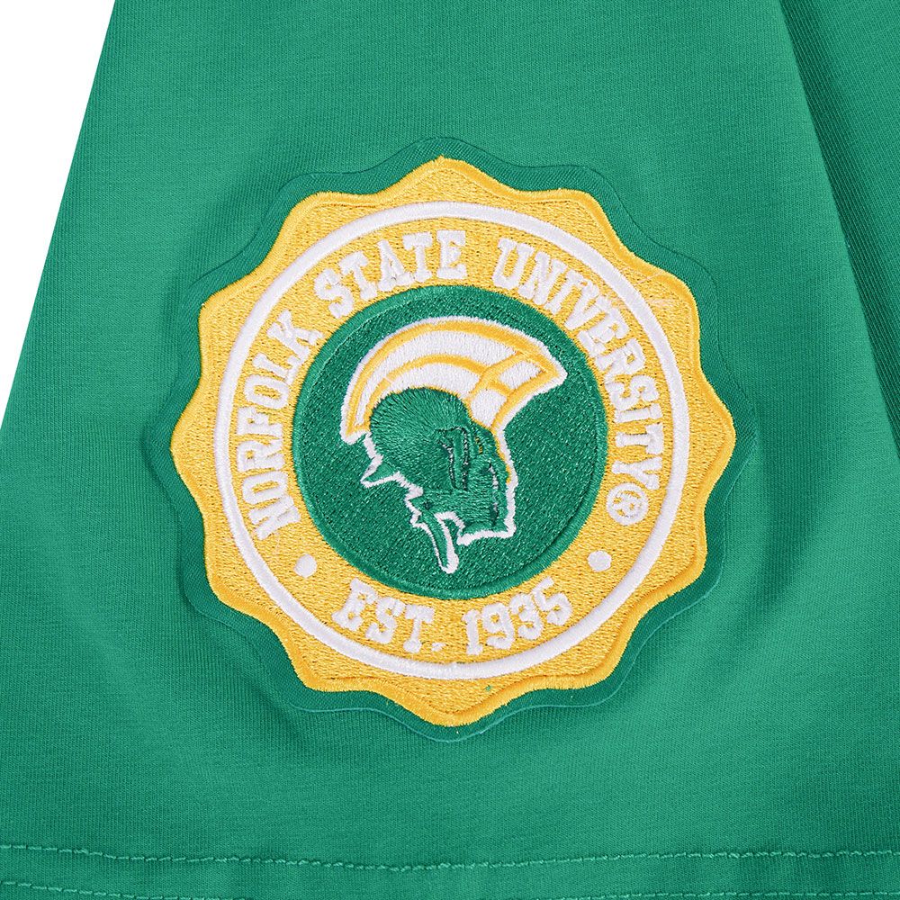 Pro Standard Men's Norfolk State Spartans Green University Headliner T-Shirt product image