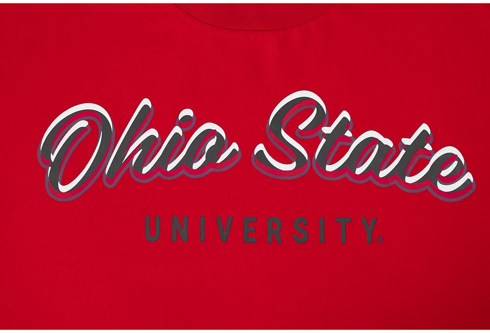 Pro Standard Men's Ohio State Buckeyes Drop Shoulder T-Shirt | Dick's ...