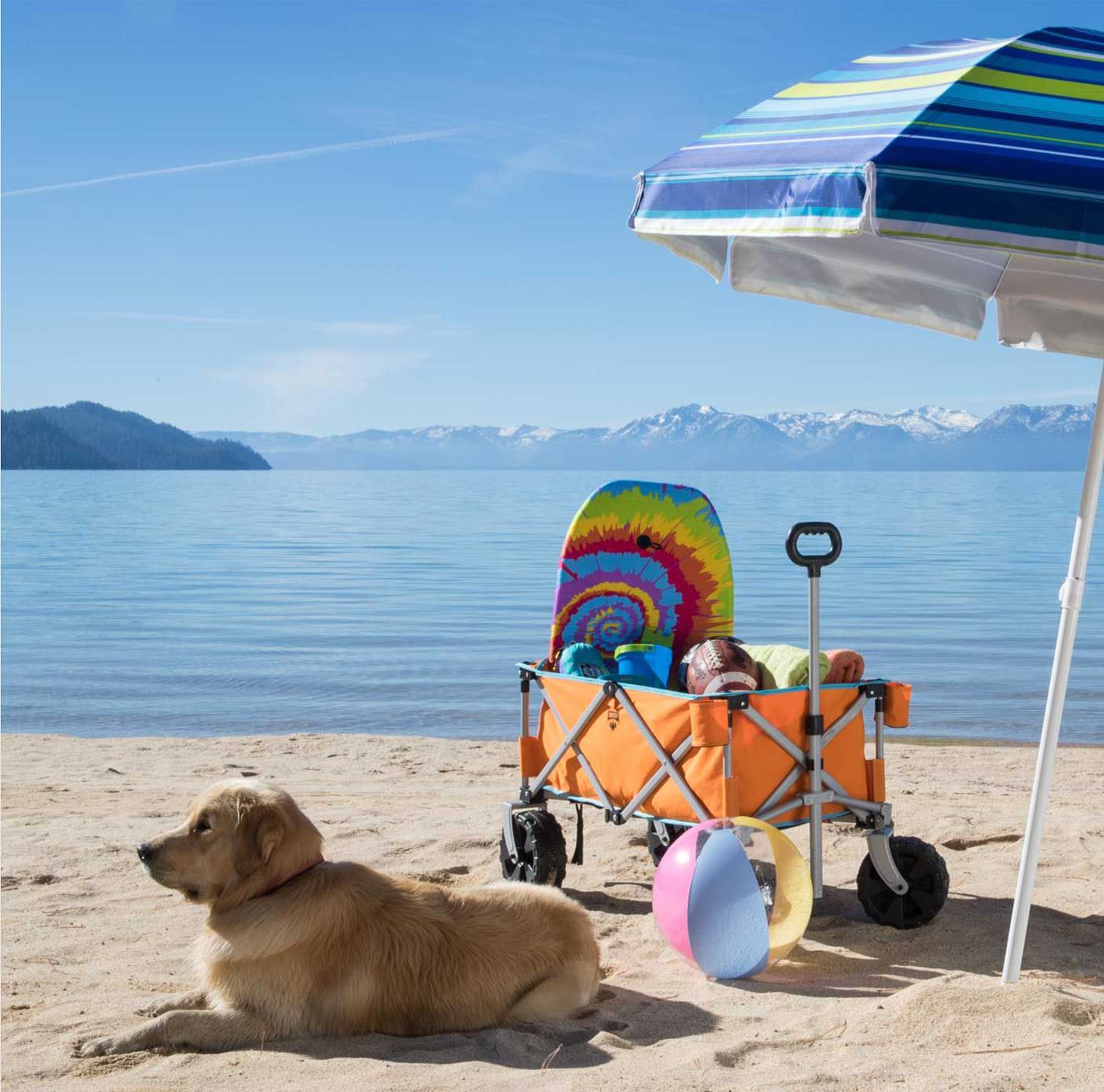 quest outdoor beach wagon field stream quest outdoor beach wagon