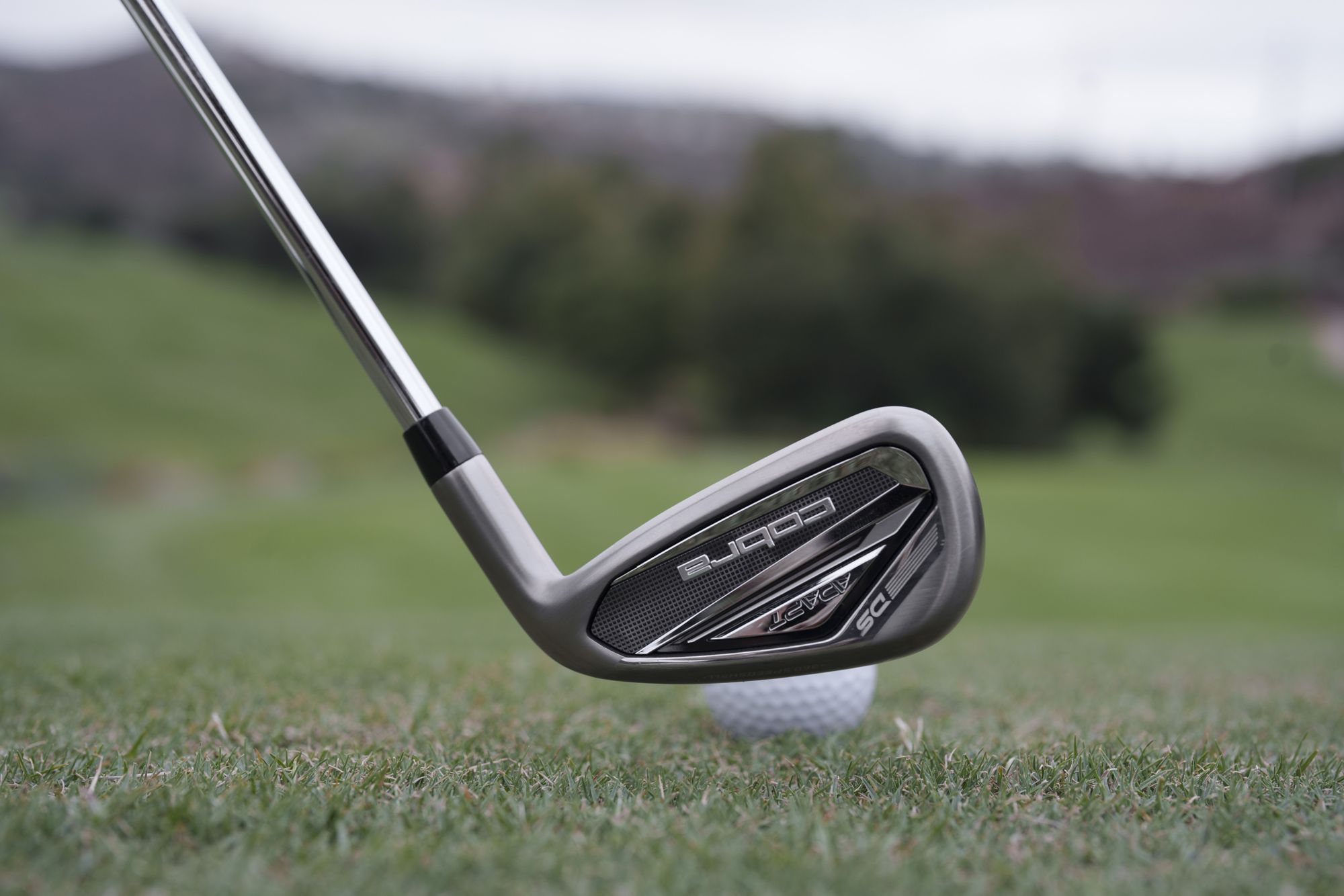 Cobra Women's DS-ADAPT Custom Irons product image