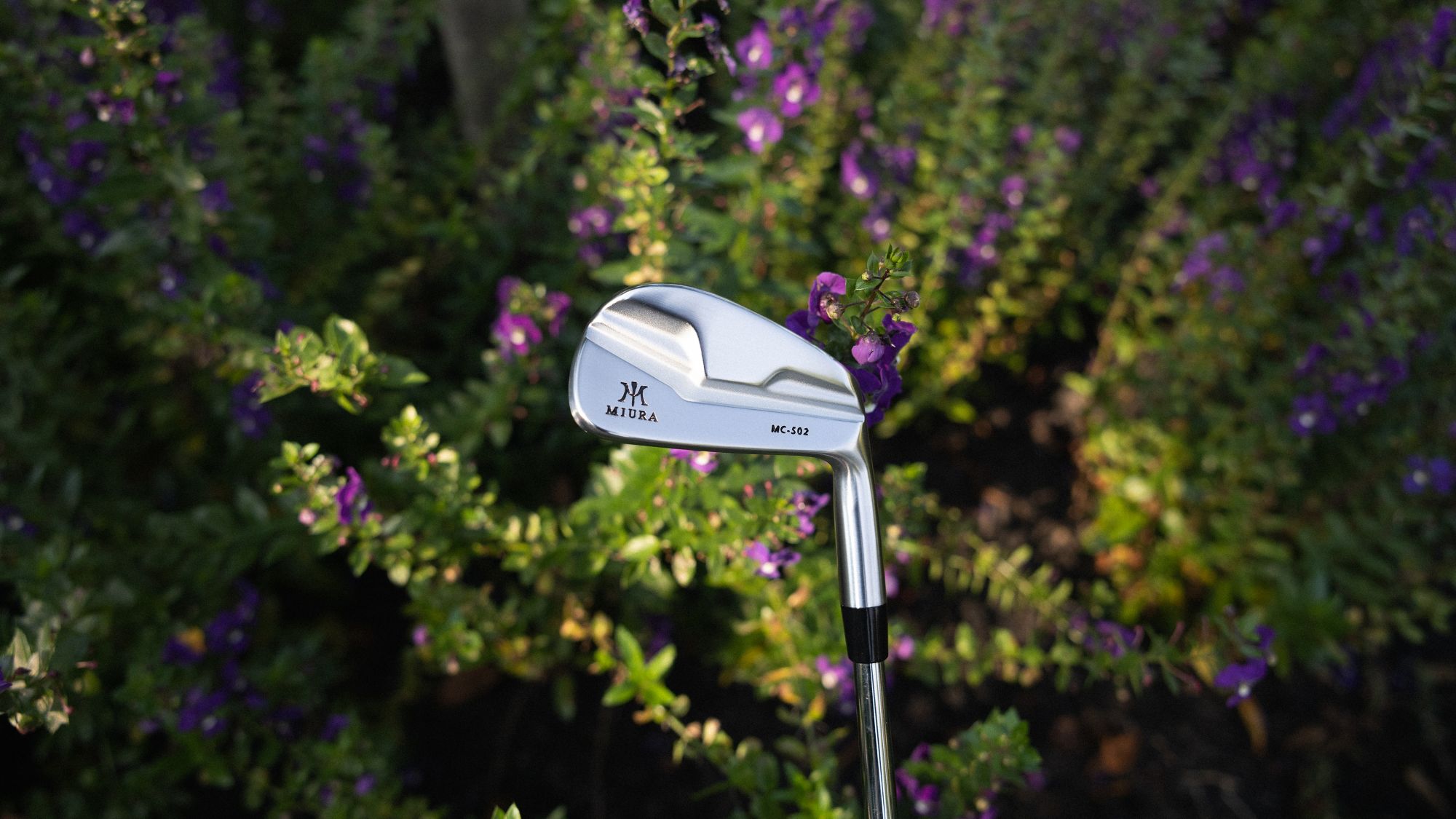 Miura MC-502 Custom Irons product image