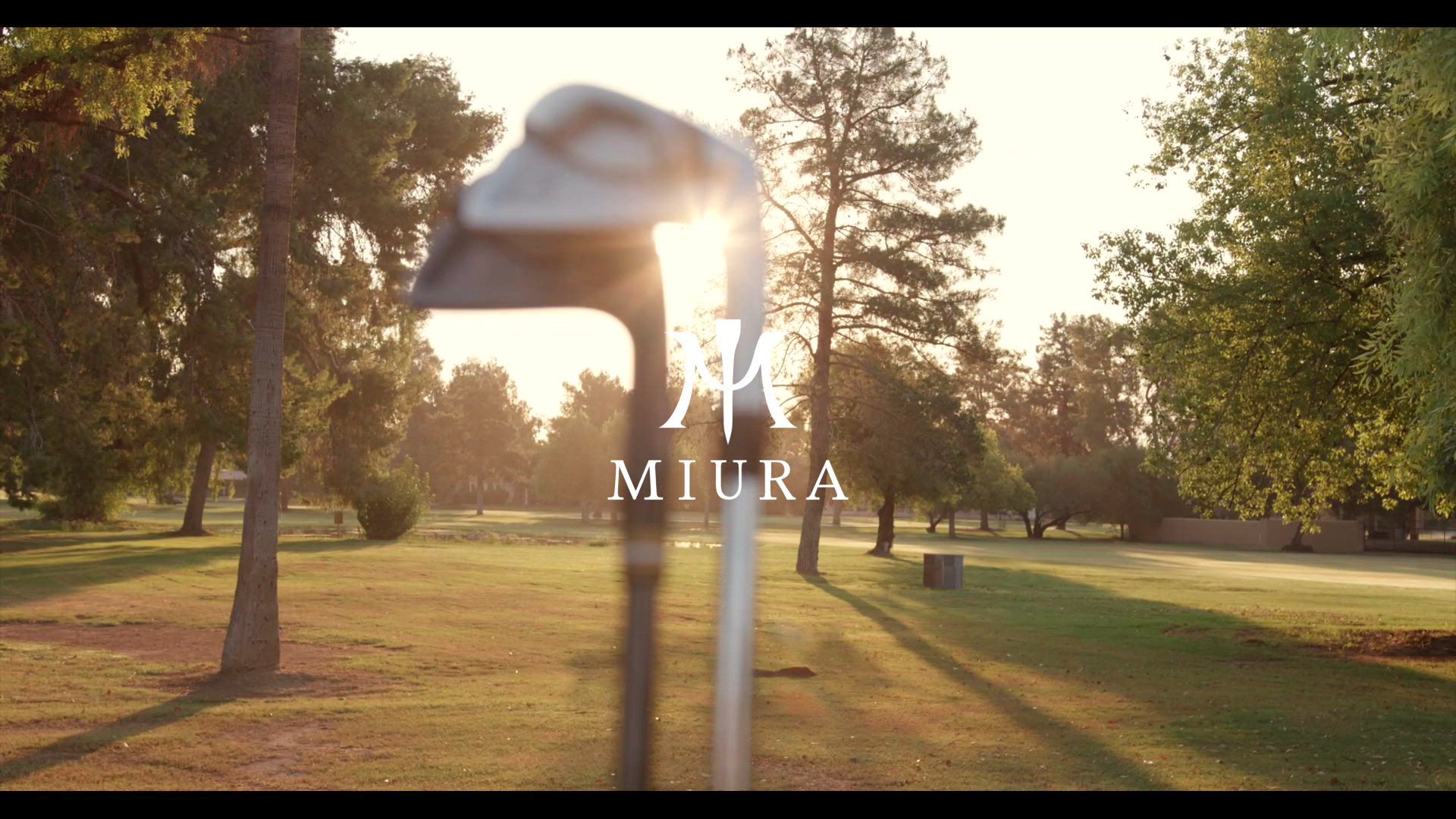 Miura TC-201 Custom Irons product