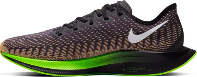 dicks sporting goods nike pegasus