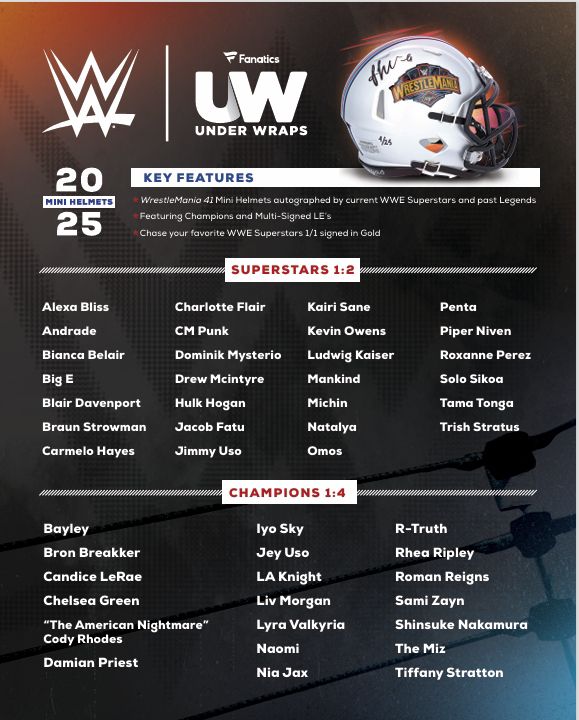 WWE 2025 Under Wraps Autographed Mini Helmet product image