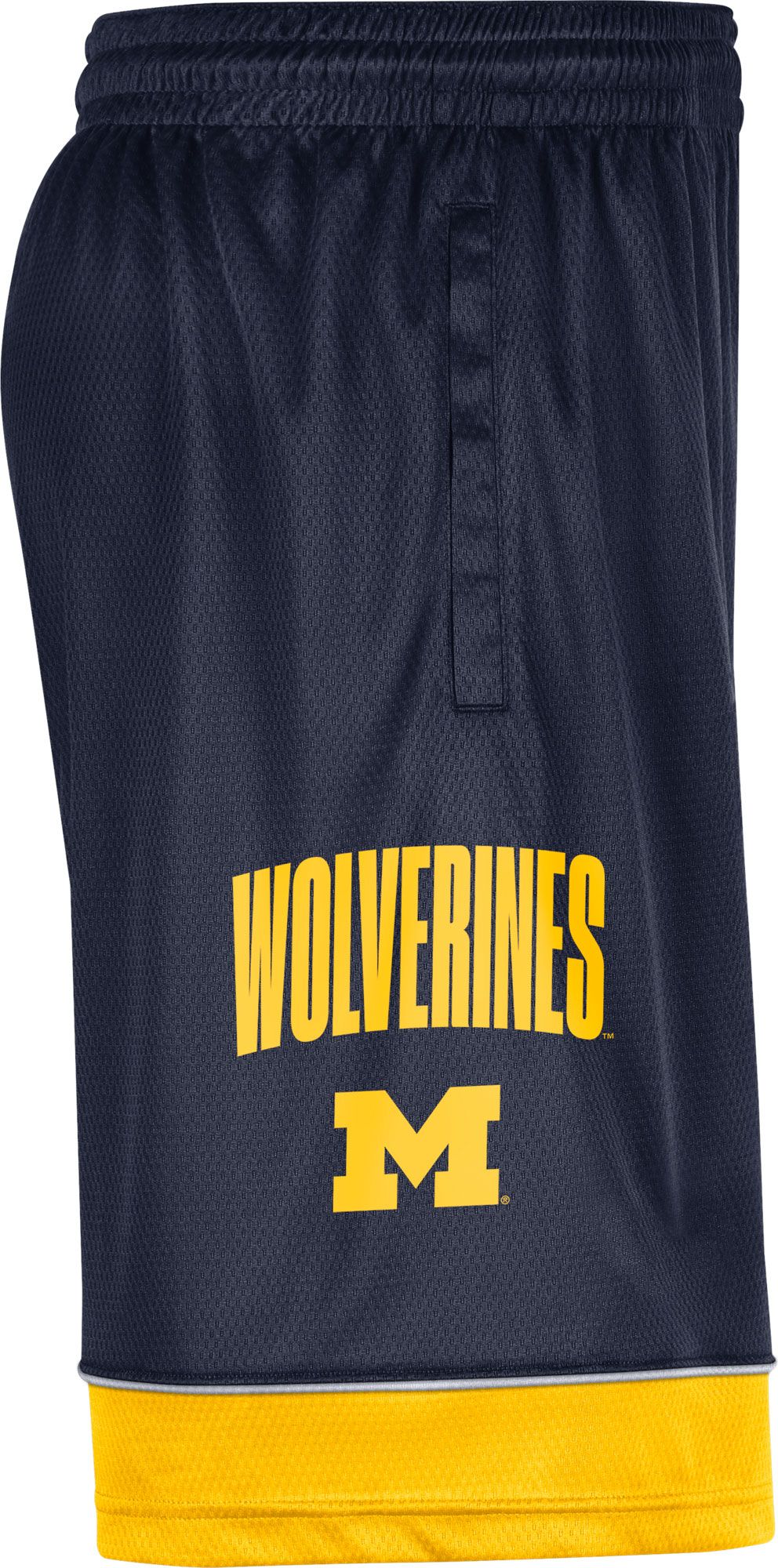 Jordan Men's Michigan Wolverines Blue Dri-FIT Basketball Shorts product image