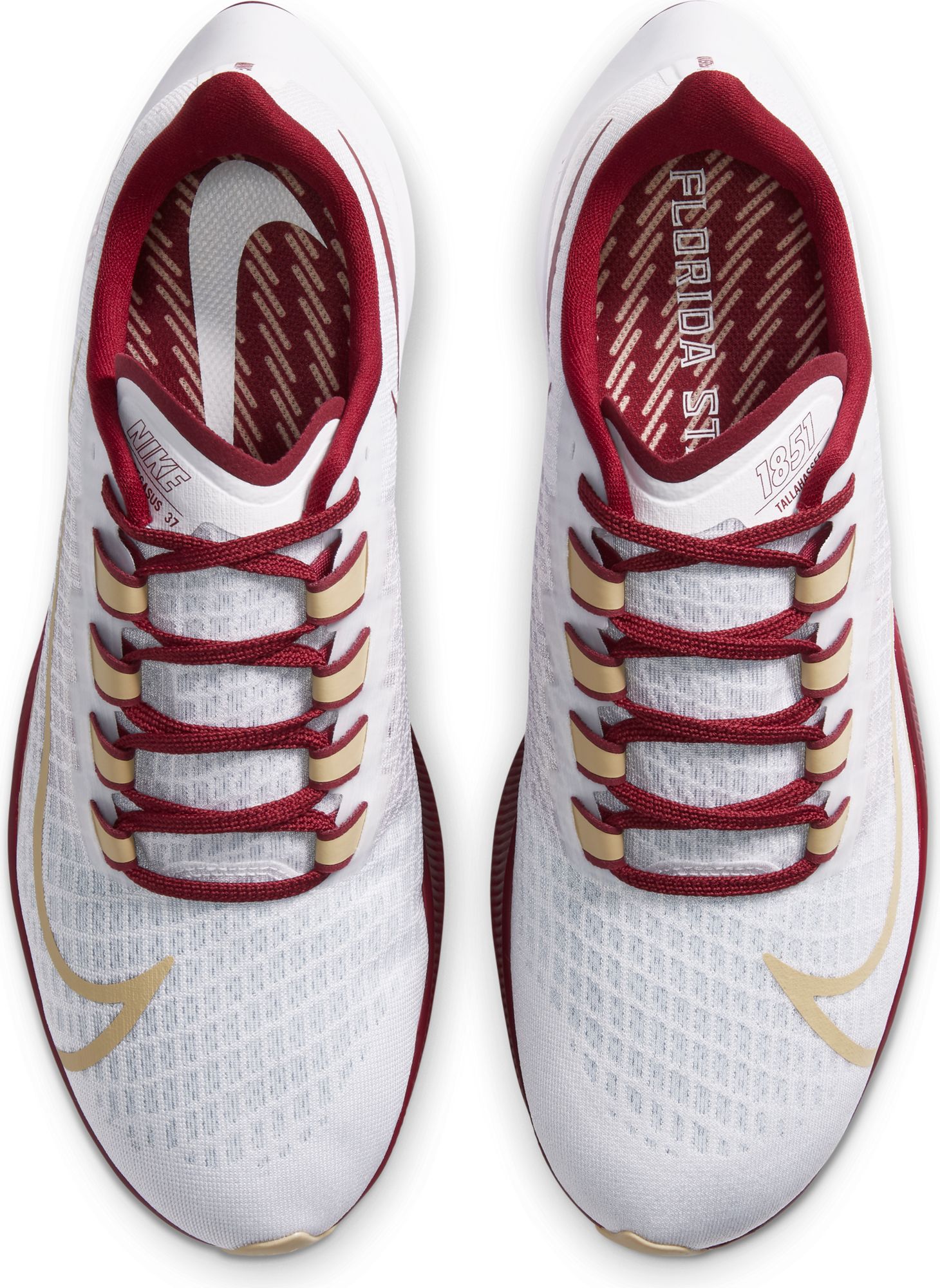 fsu pegasus 36