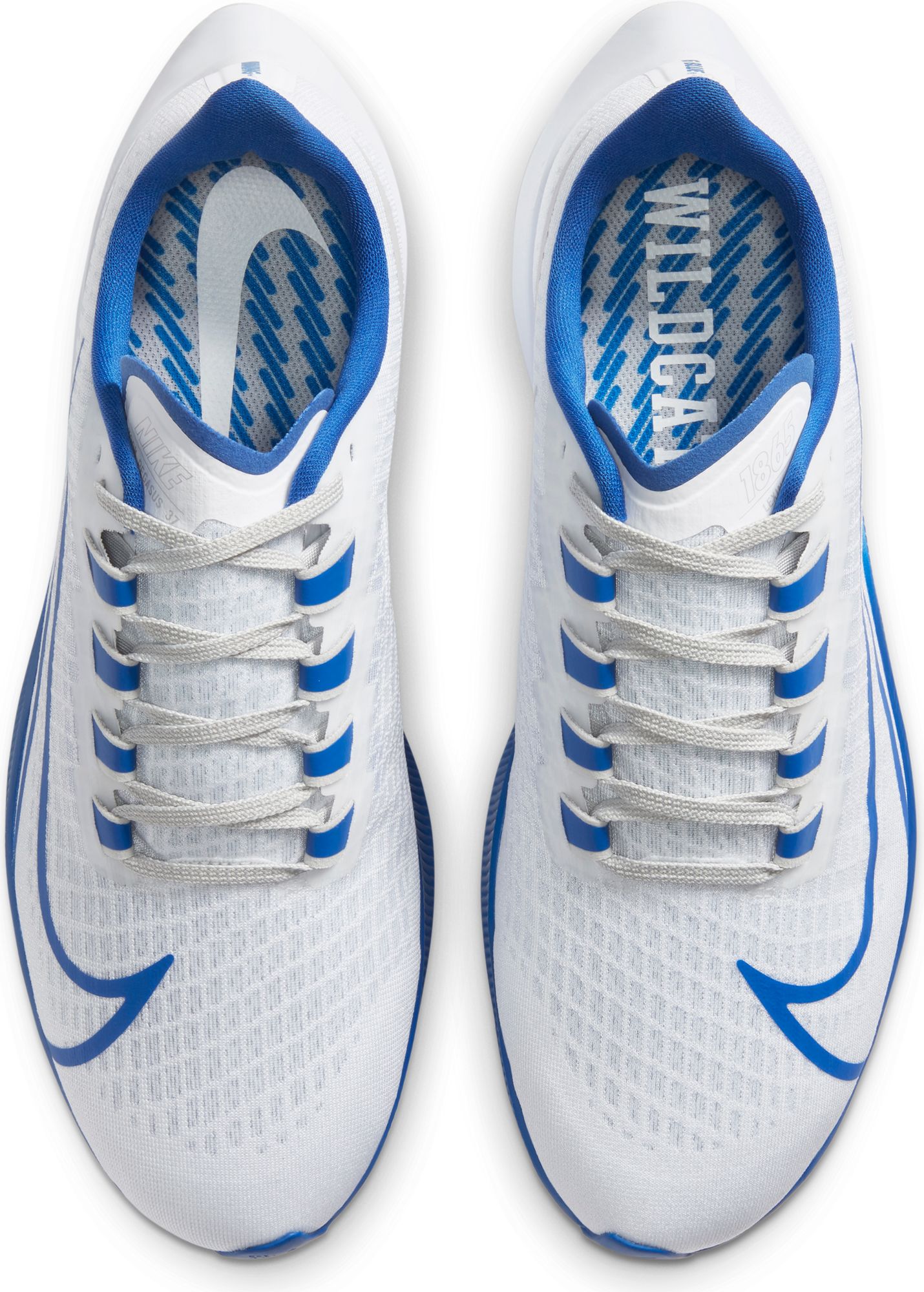 nike air zoom pegasus 36 kentucky