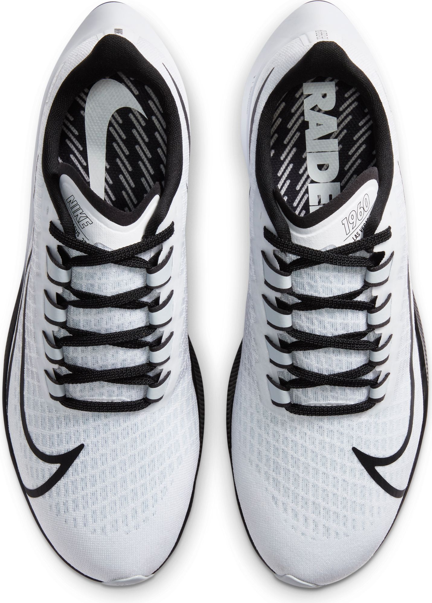 nike pegasus raiders