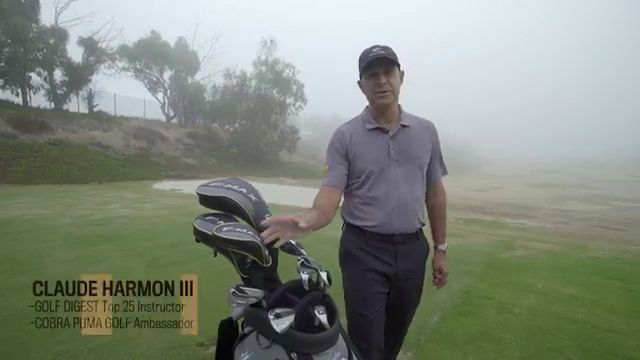 Cobra F-MAX Offset Driver product