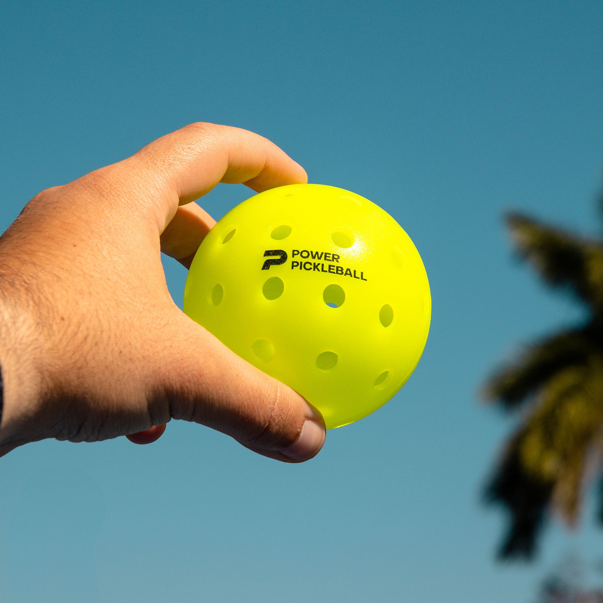 Diadem Premier Power Pickleballs 12-Pack product image