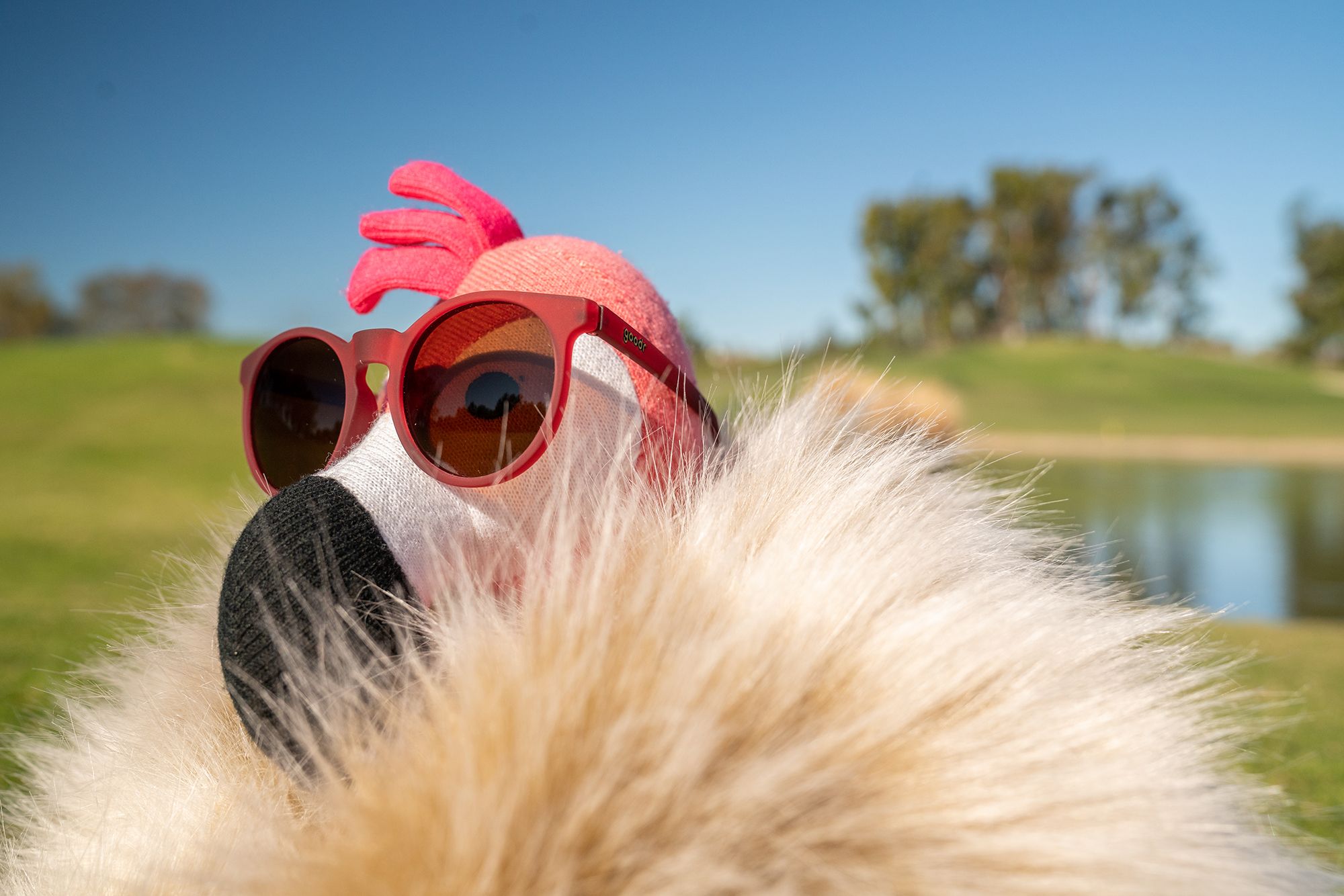 goodr Circle G Sunglasses product image