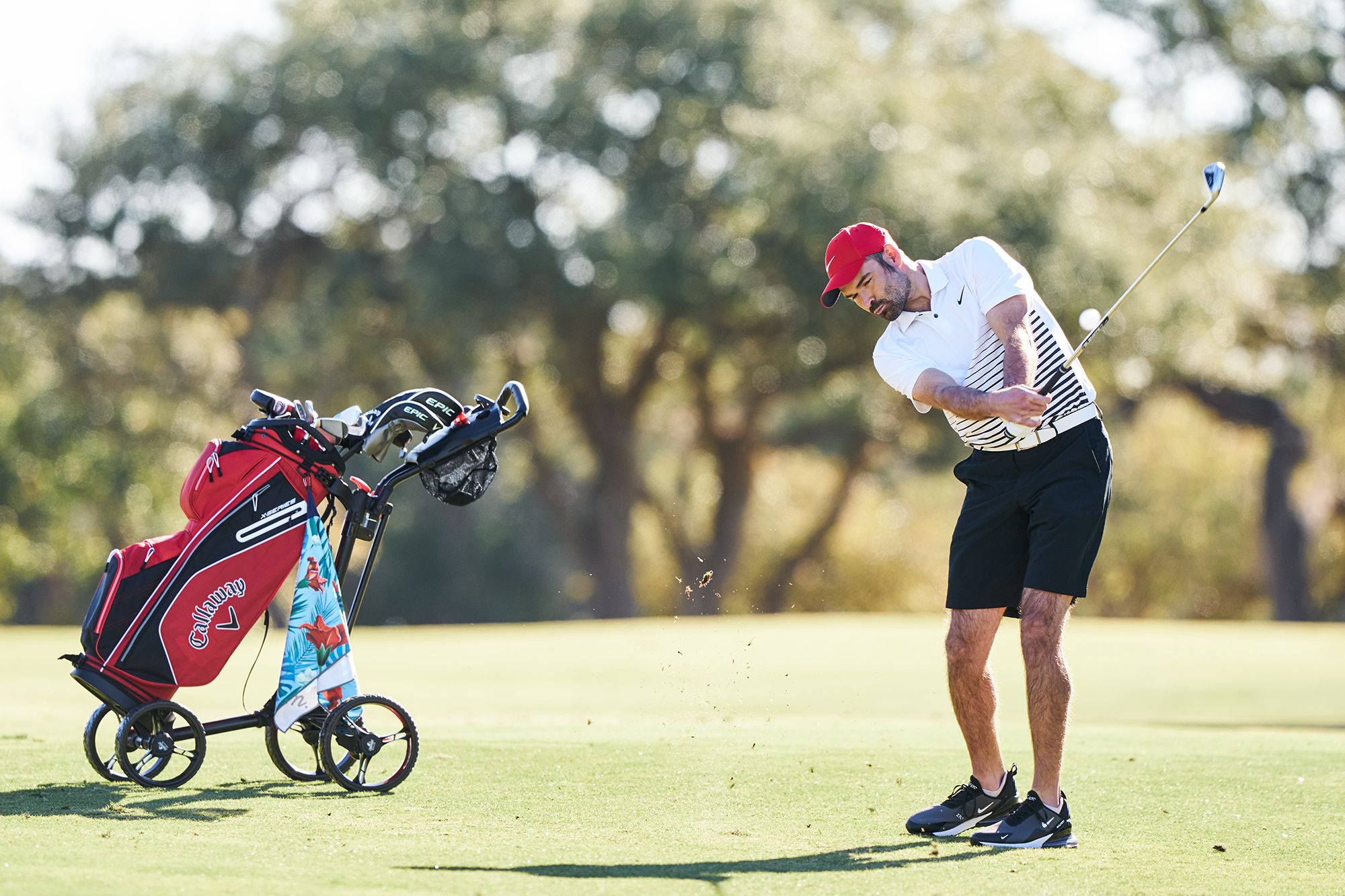 Nike Men's Dri-FIT Hybrid 10.5'' Golf Shorts product image