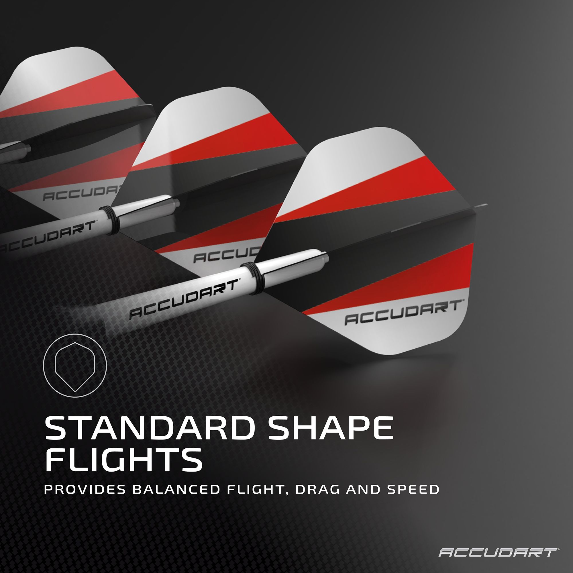 Accudart Steel Tip Dart Set 1.0 product image