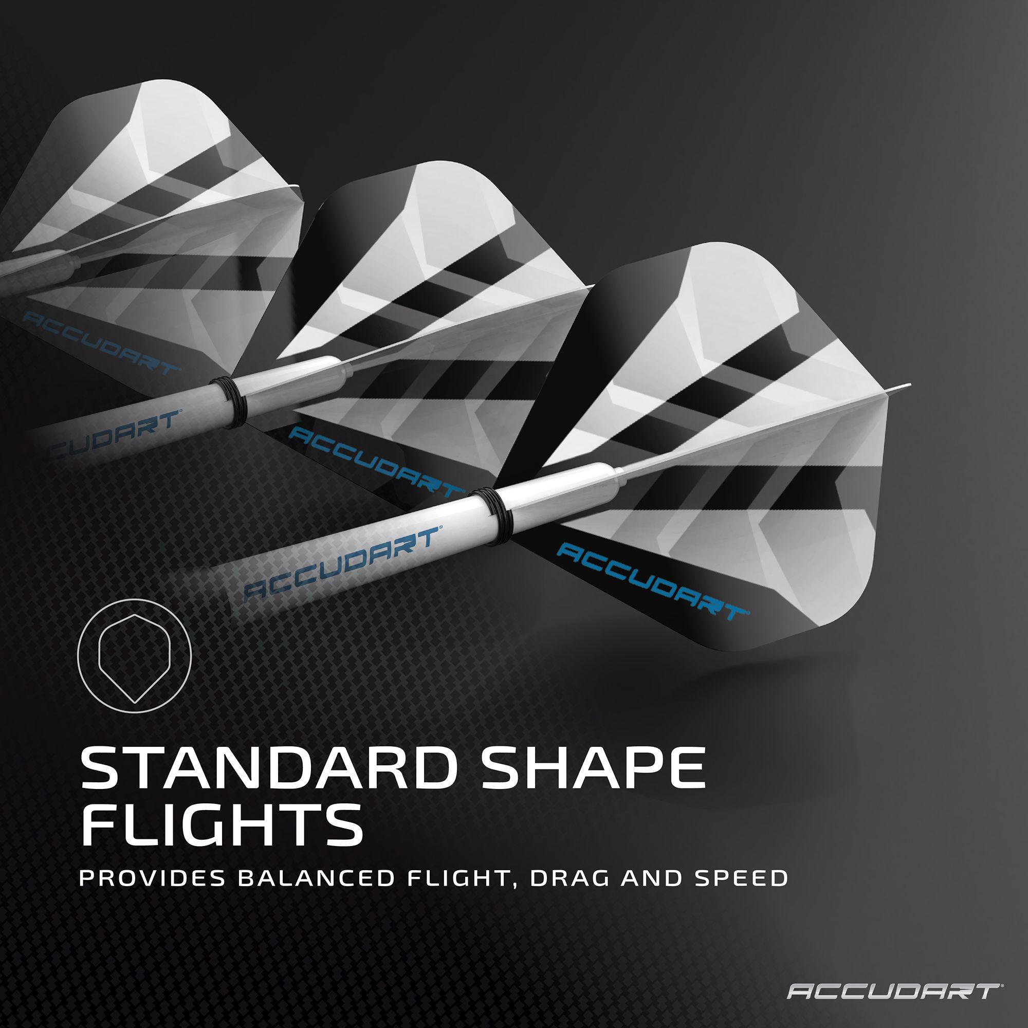 Accudart Steel Tip Dart Set 2.0 product image