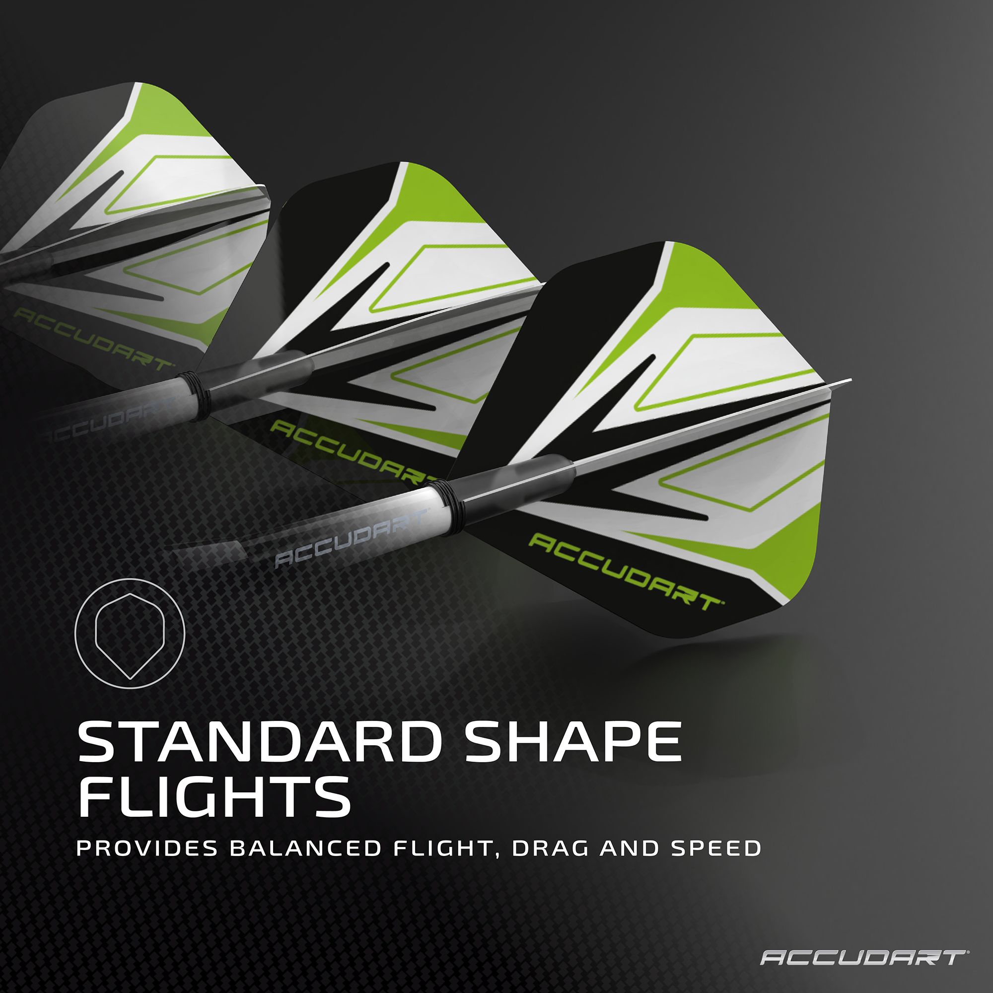 Accudart Steel Tip Dart Set 3.0 product image