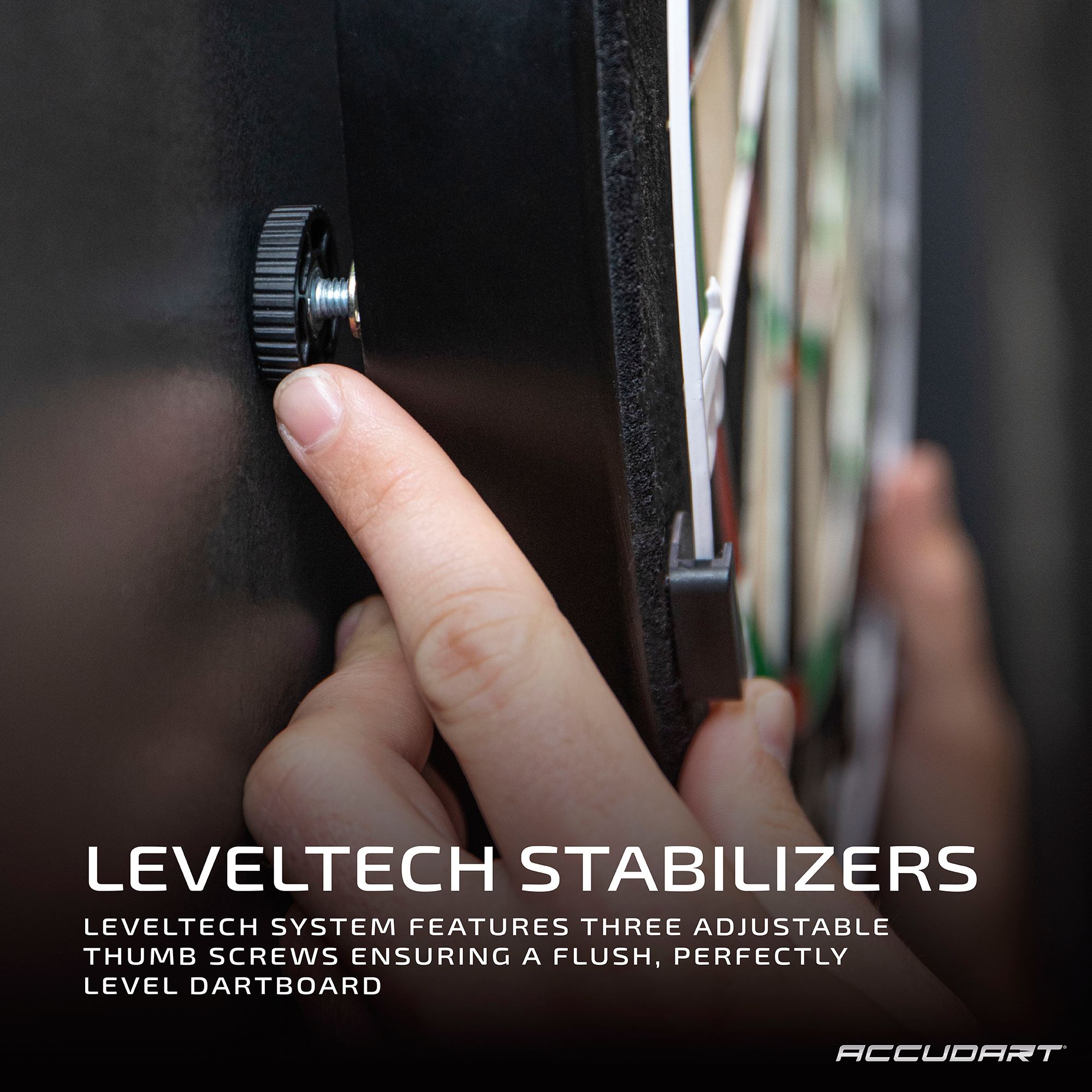 Accudart Envy Bristle Dartboard product image