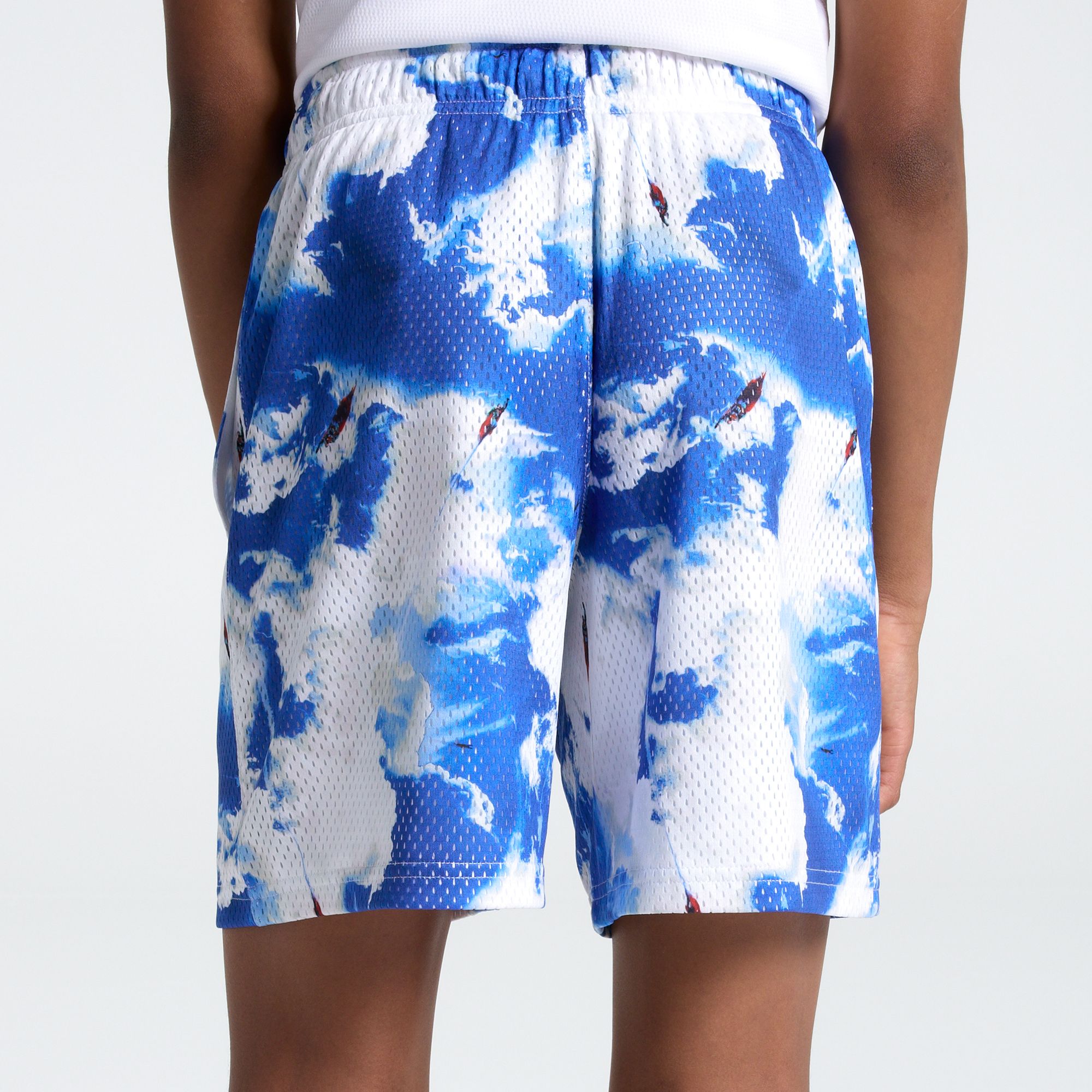 DC x DSG Boys' Mesh Short product image