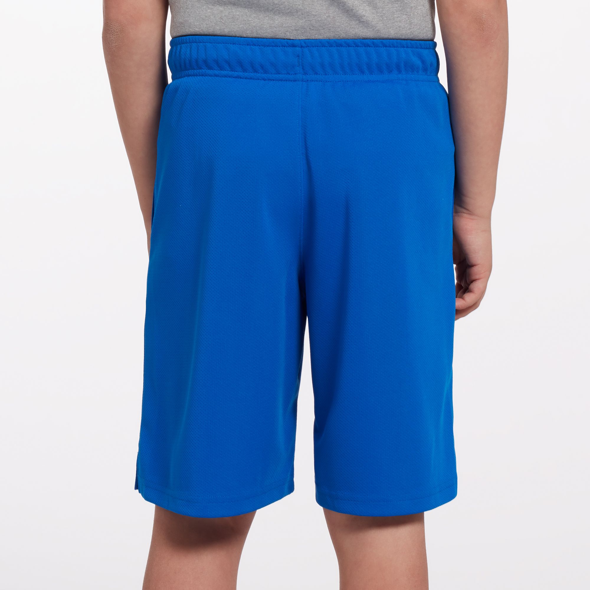 DSG Boys' Mesh Training Shorts product image