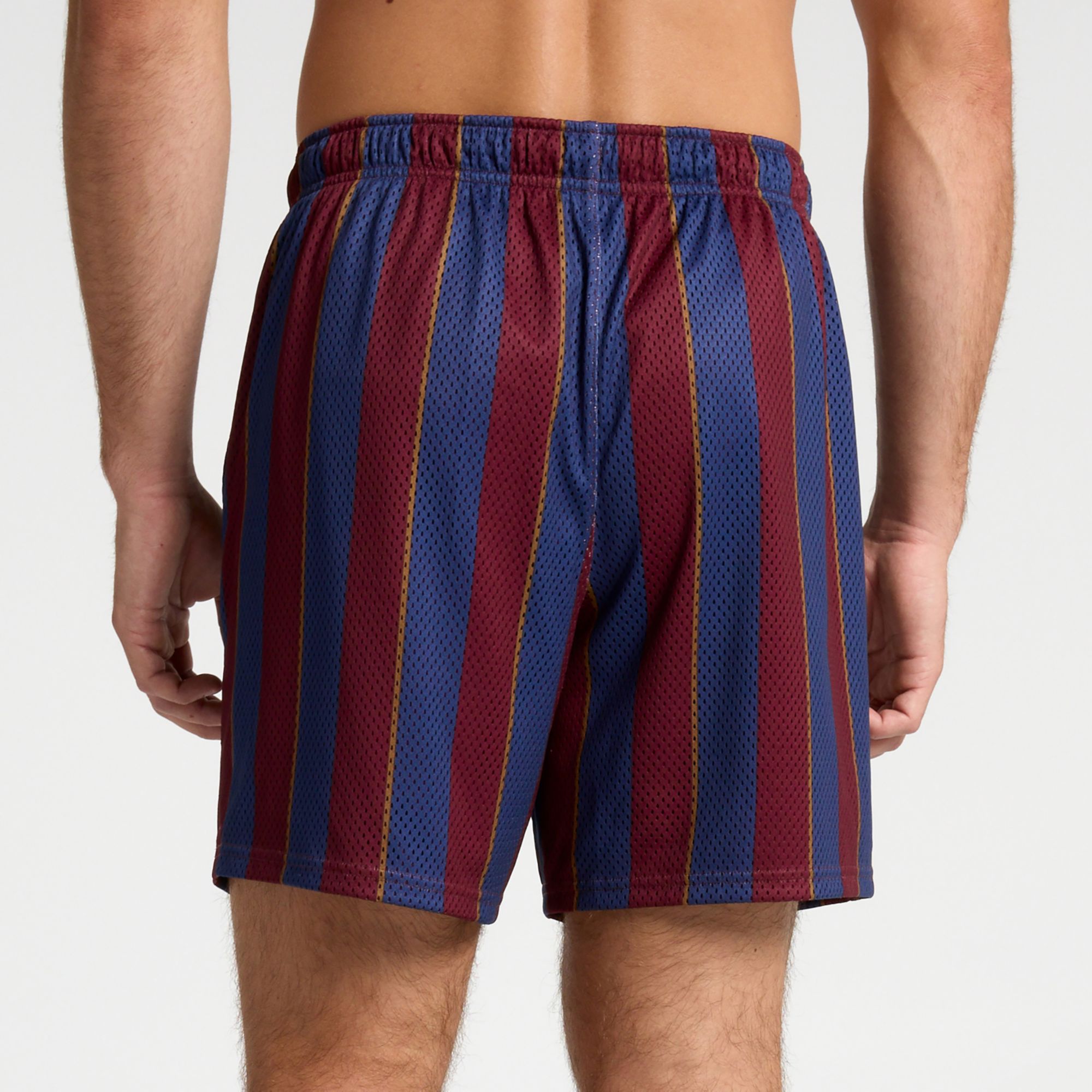 DSG Men's Mesh Gym Shorts product image