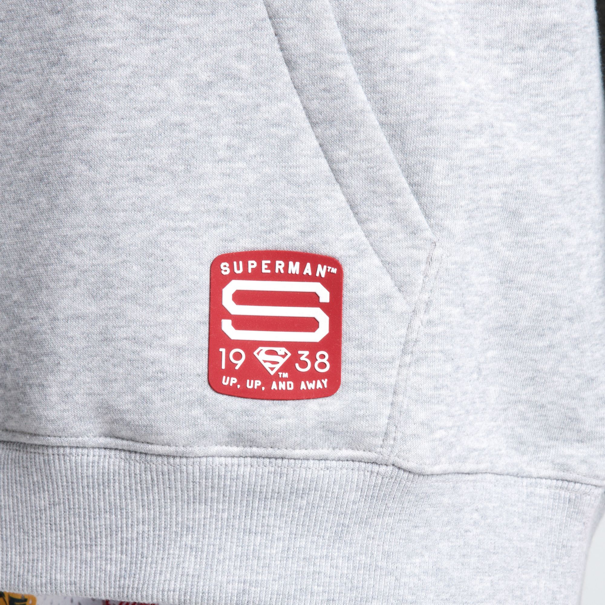 DC x DSG Youth Metropolis Classic Fleece Hoodie product image