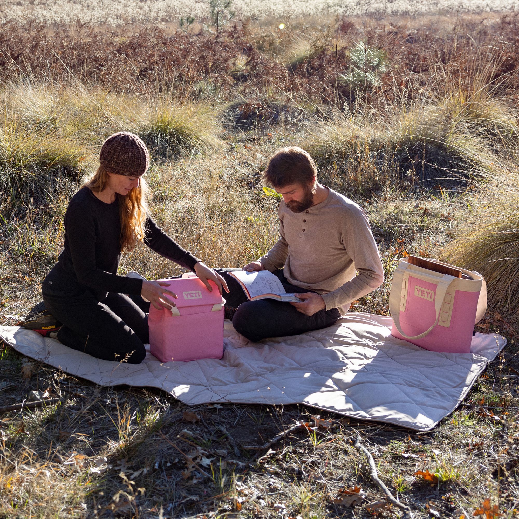 YETI Daytrip 14L Insulated Tote Bag product image