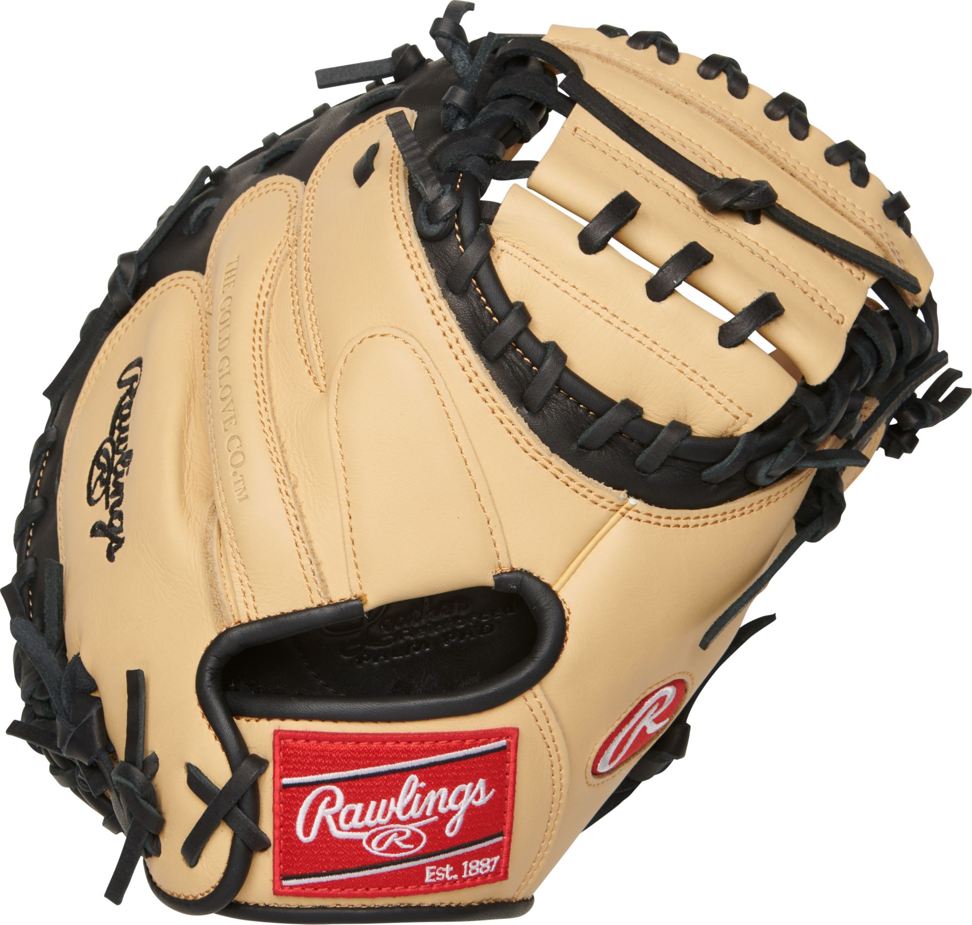 Rawlings gold glove hot sale elite catchers mitt