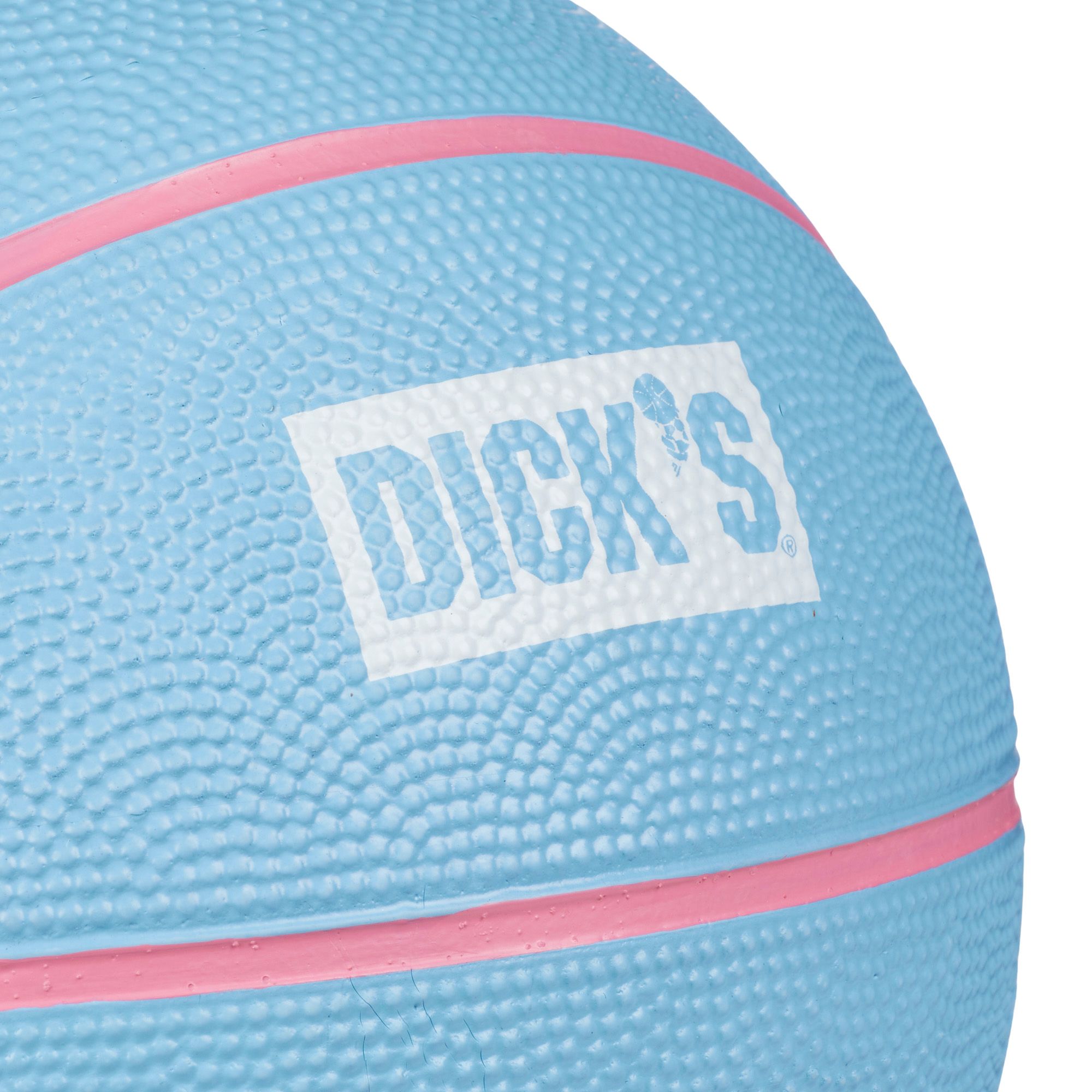 Dick's Sporting Goods Mini Basketball product image