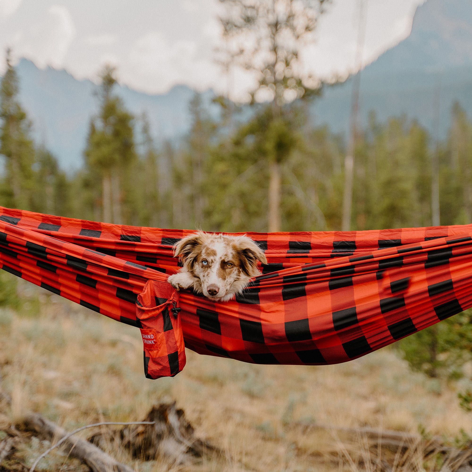 Grand Trunk Printed Double Hammock with Straps