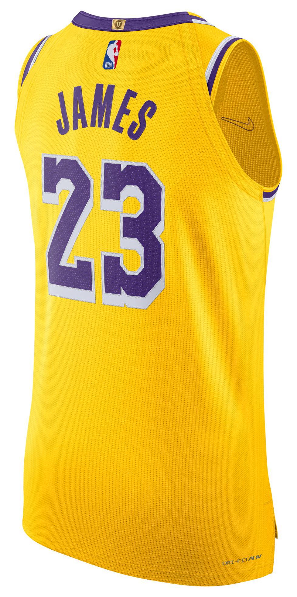 Nike Adult Los Angeles Lakers LeBron James #23 Authentic Icon Jersey product image