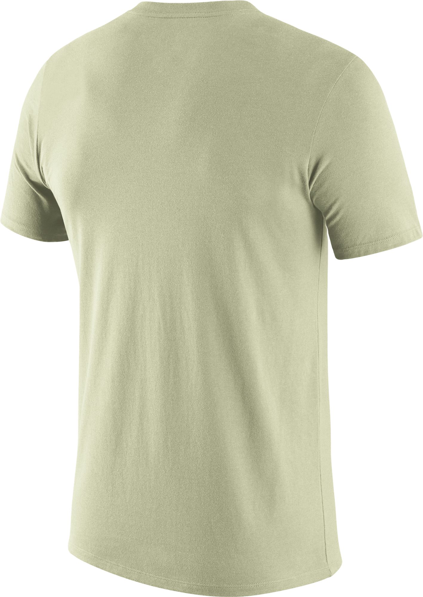 Nike Men's Oregon Ducks Pastel Green Dri-FIT Tri-Blend T-Shirt product image