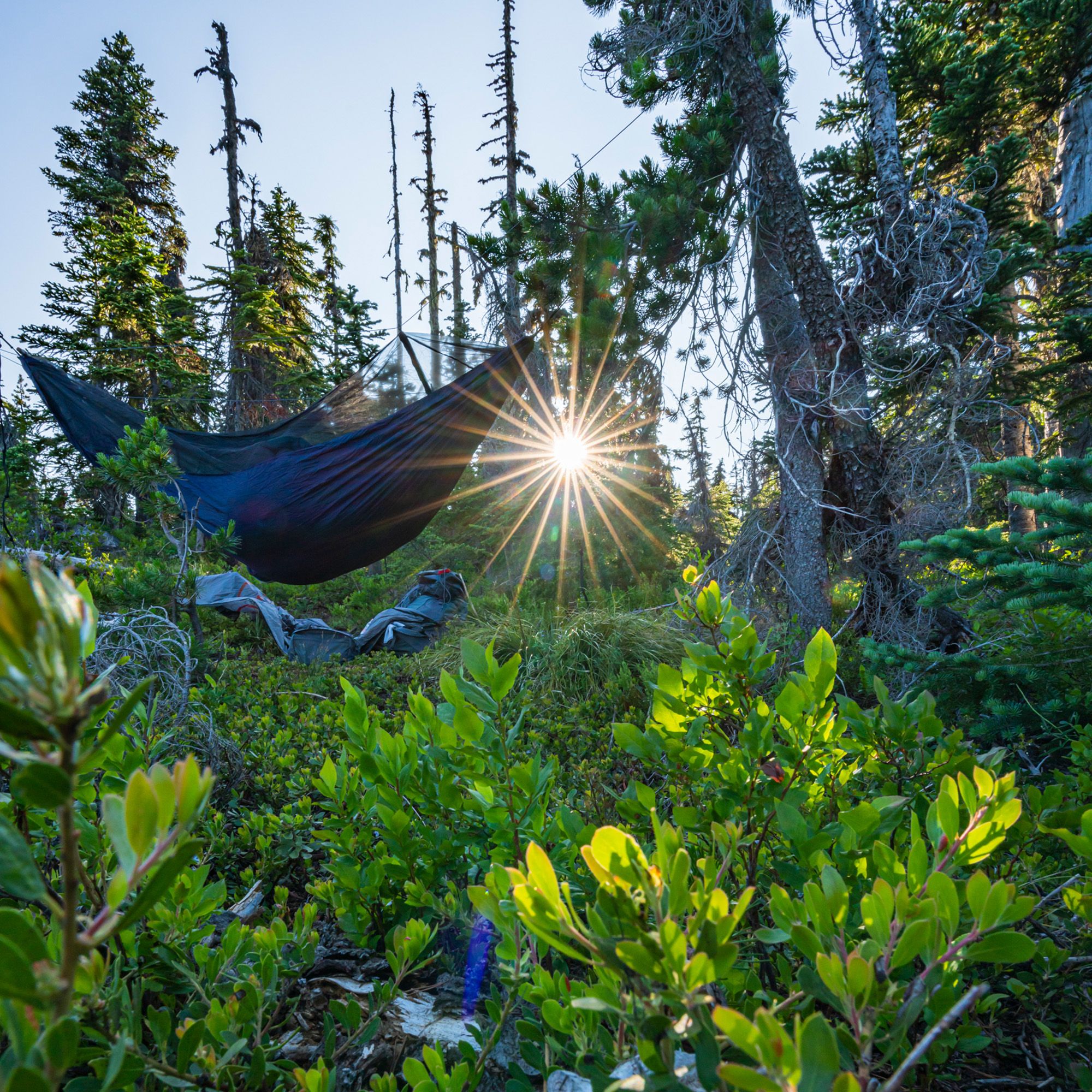 Grand Trunk Skeeter Beeter XT Mosquito Net Hammock product image