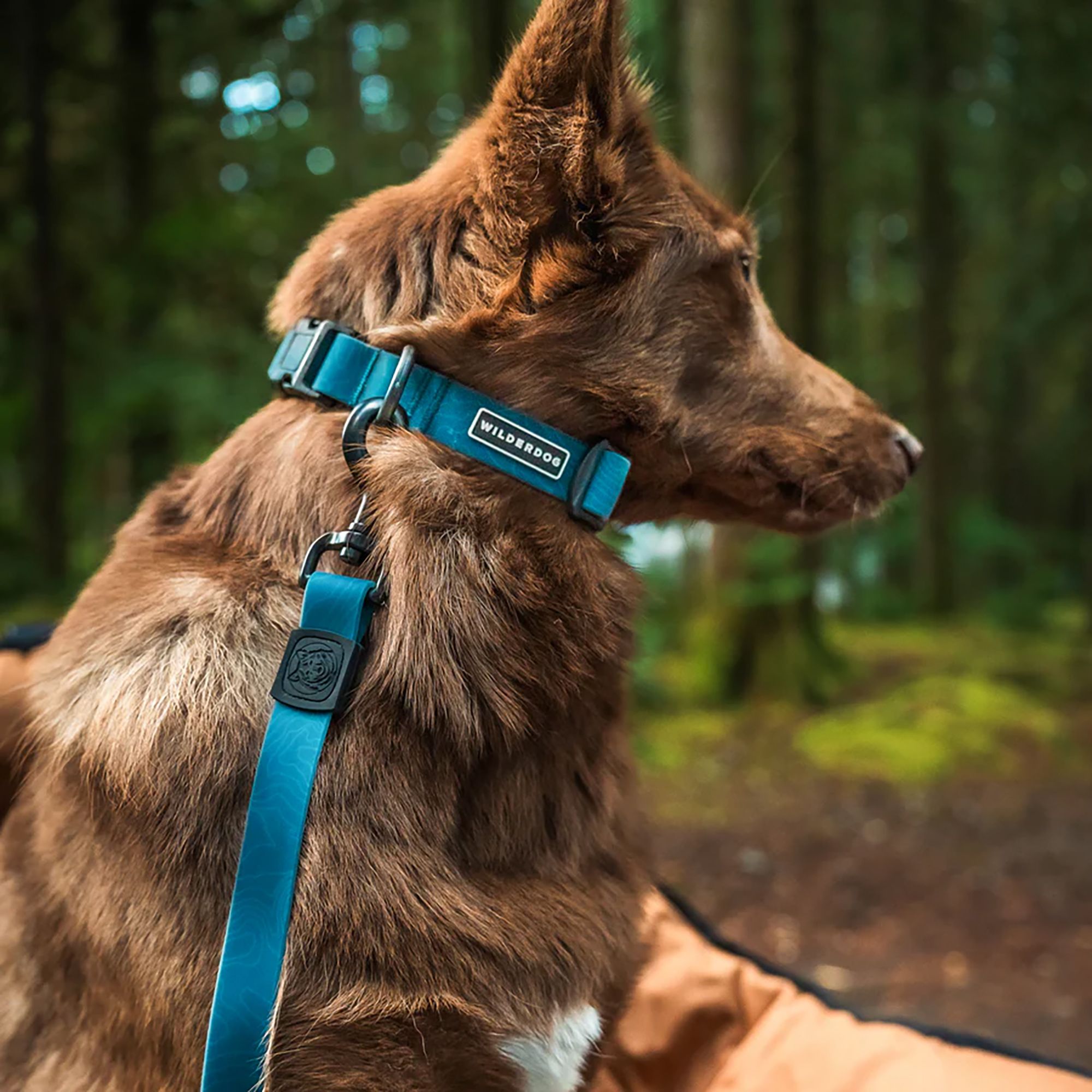 Wilderdog Waterproof Leash product image