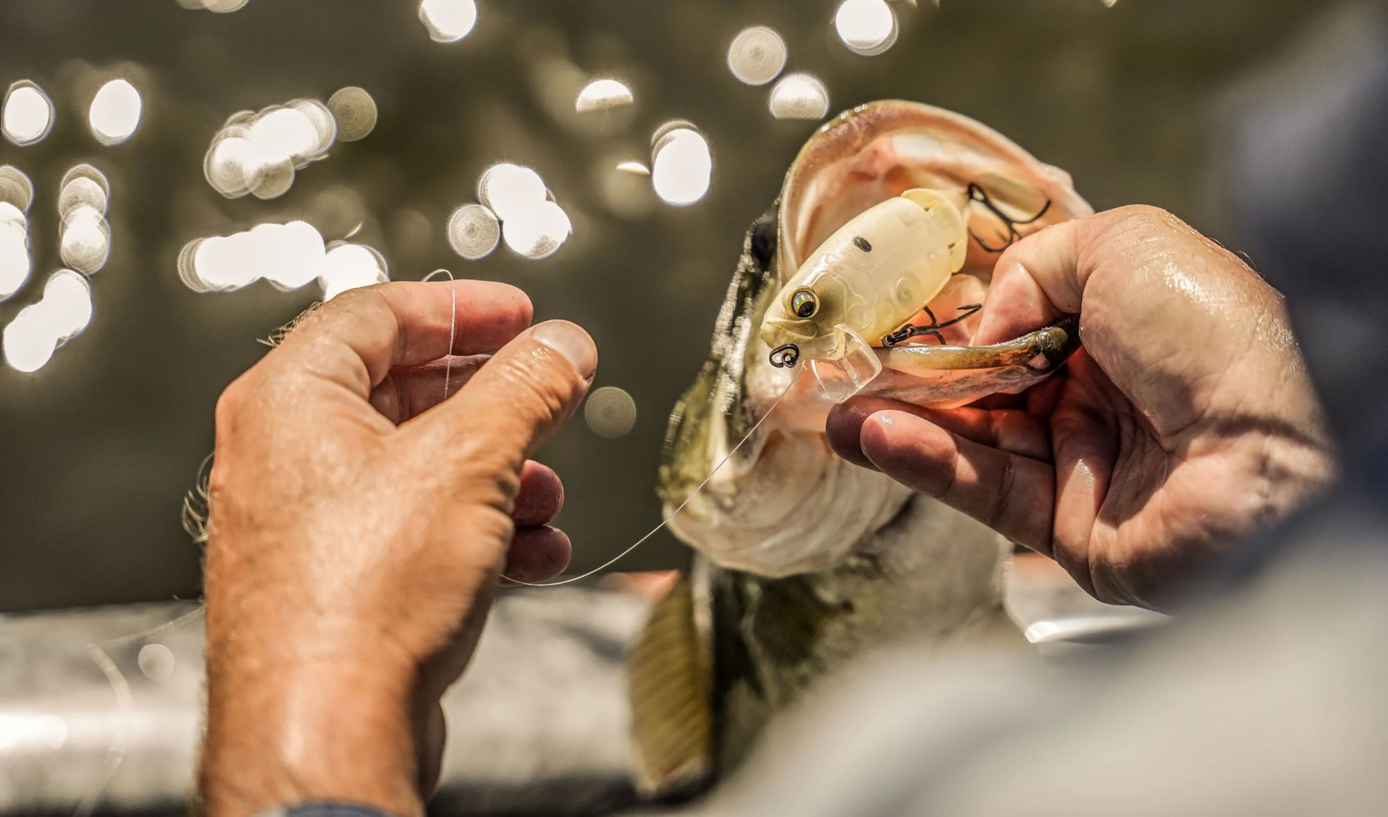 6th Sense Fishing Speed Wake Wakebait product image