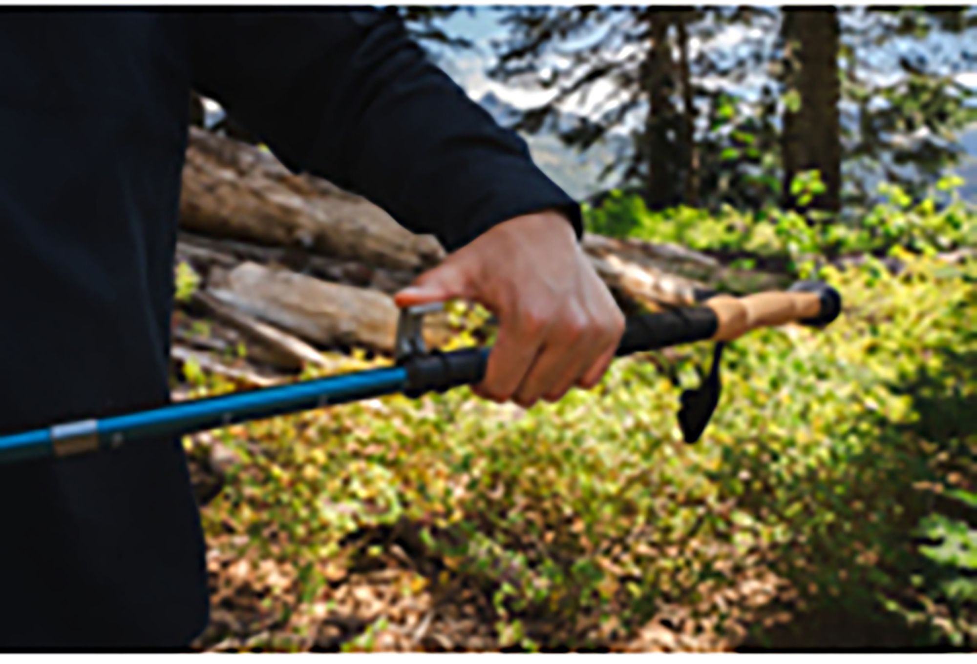 Cascade Mountain Tech Cork Folding Trekking Poles product image